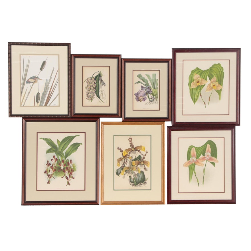 Orchid Botanical Chromolithographs, Hand Colored Etchings, and Other Print