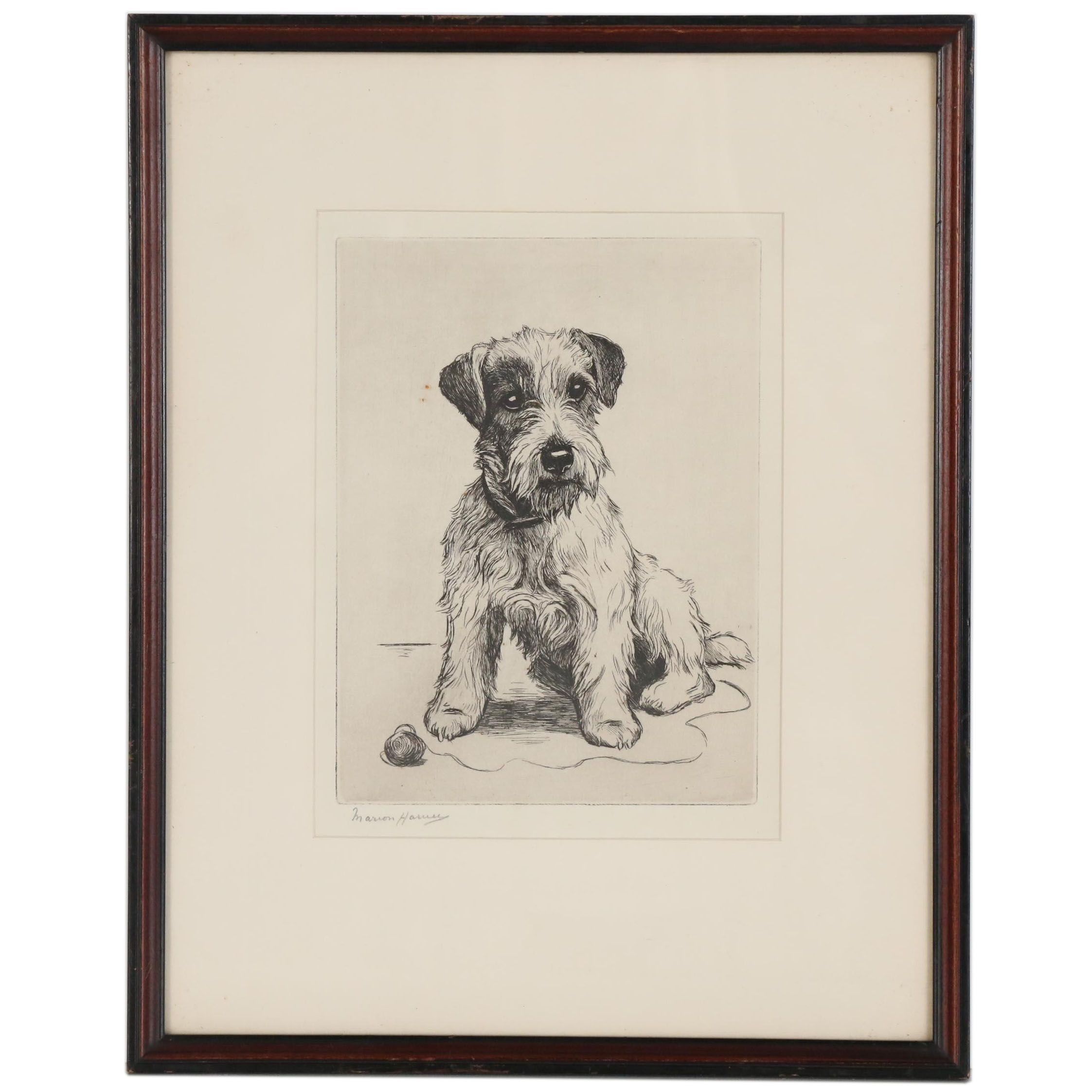 Marion Harvey Terrier Etching "A Guilty Conscience", Mid 20th Century