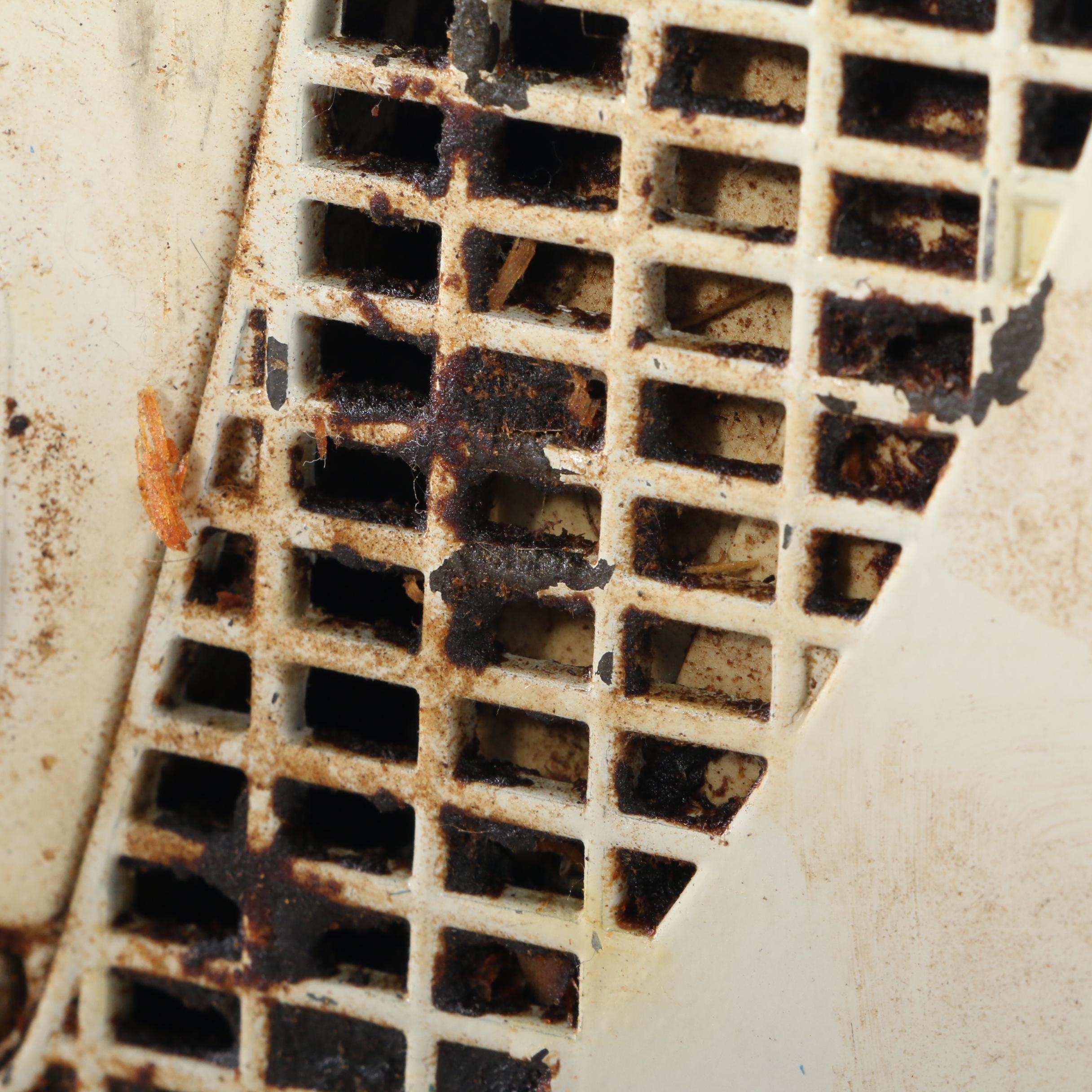 Stihl "Farm Boss" Gas Powered Chain Saw and "FS 66" Model Weed Trimmer