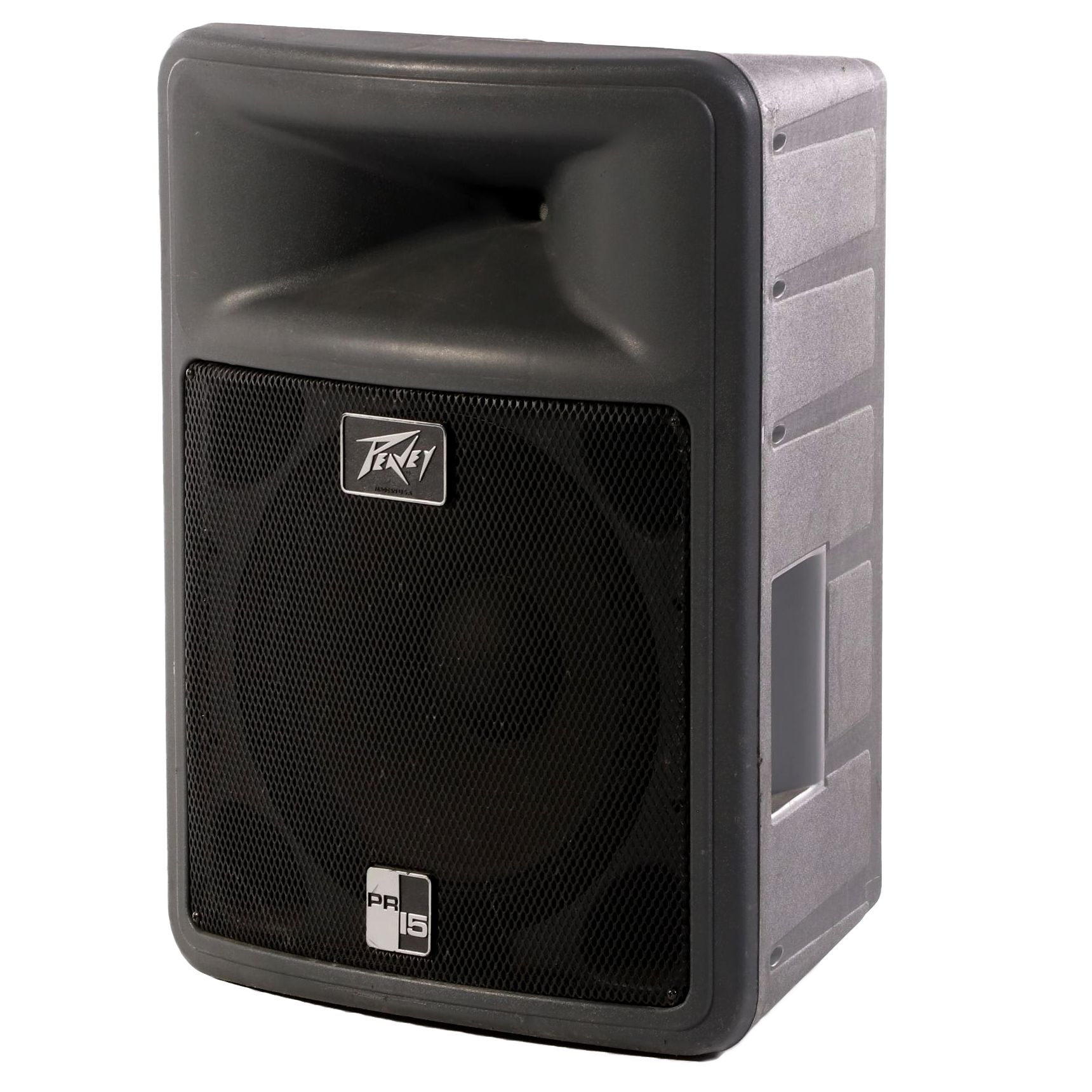 Peavey PR 15 Floor Speaker
