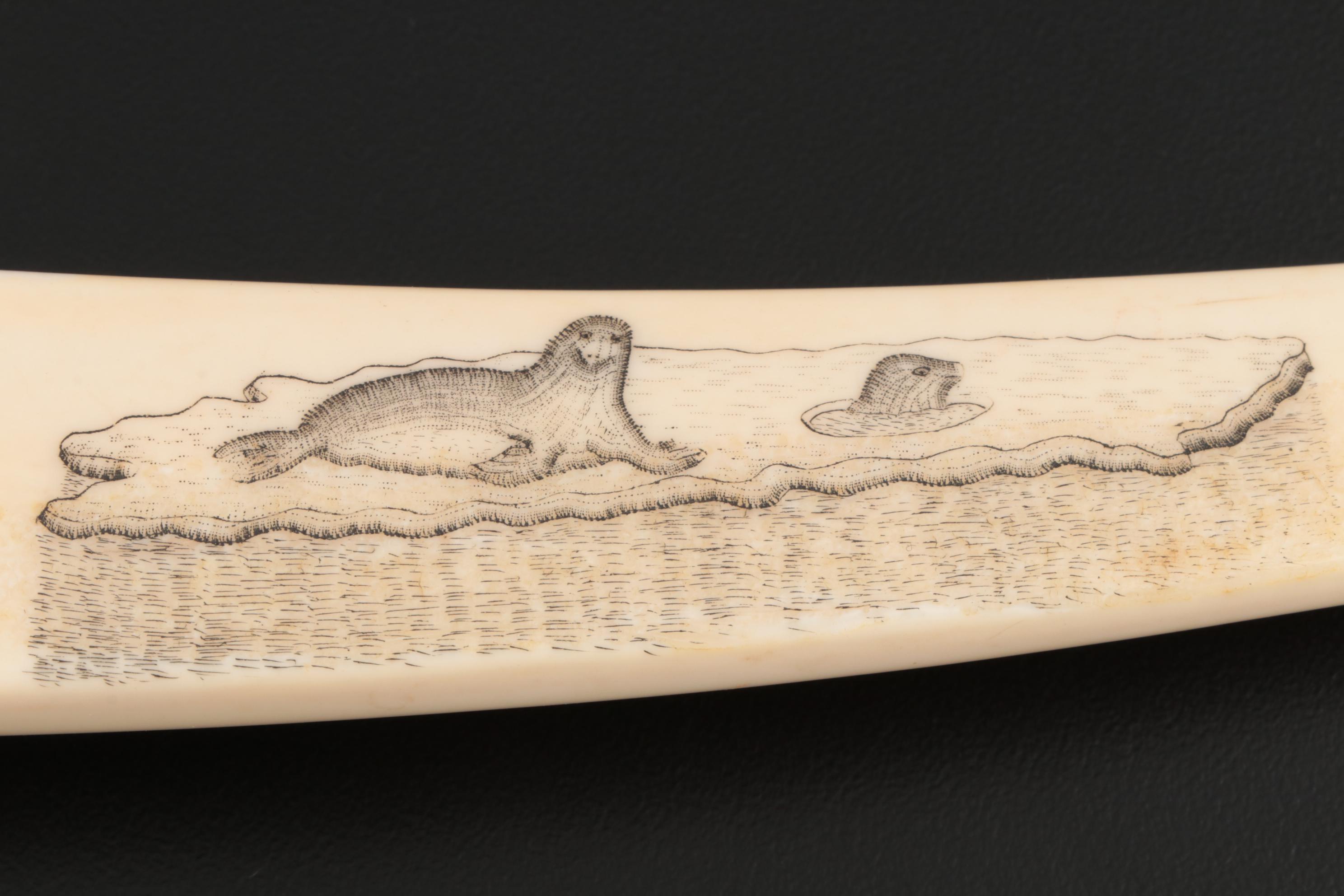 Inuit Scrimshaw Walrus Tusk Cribbage Board, Early 20th Century