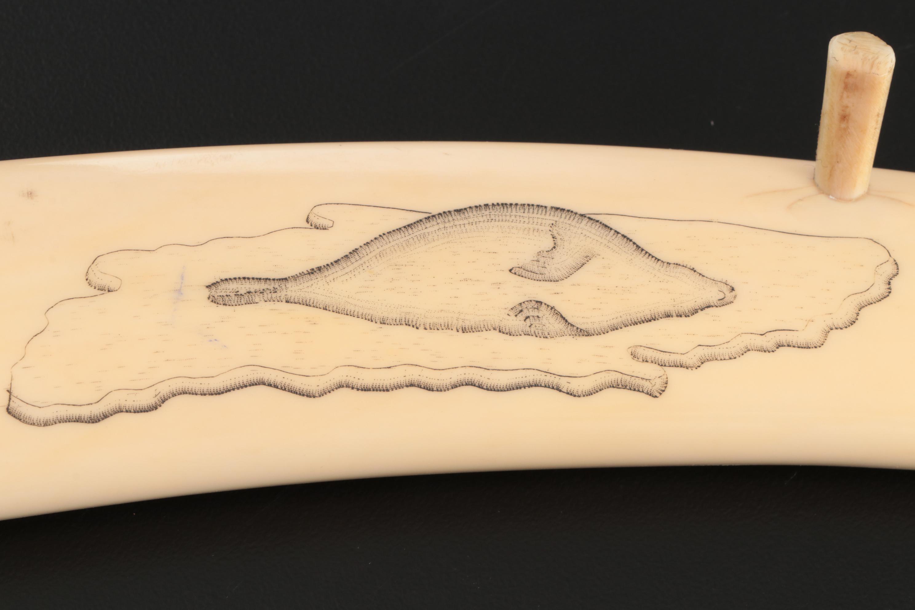 Inuit Scrimshaw Walrus Tusk Cribbage Board, Early 20th Century