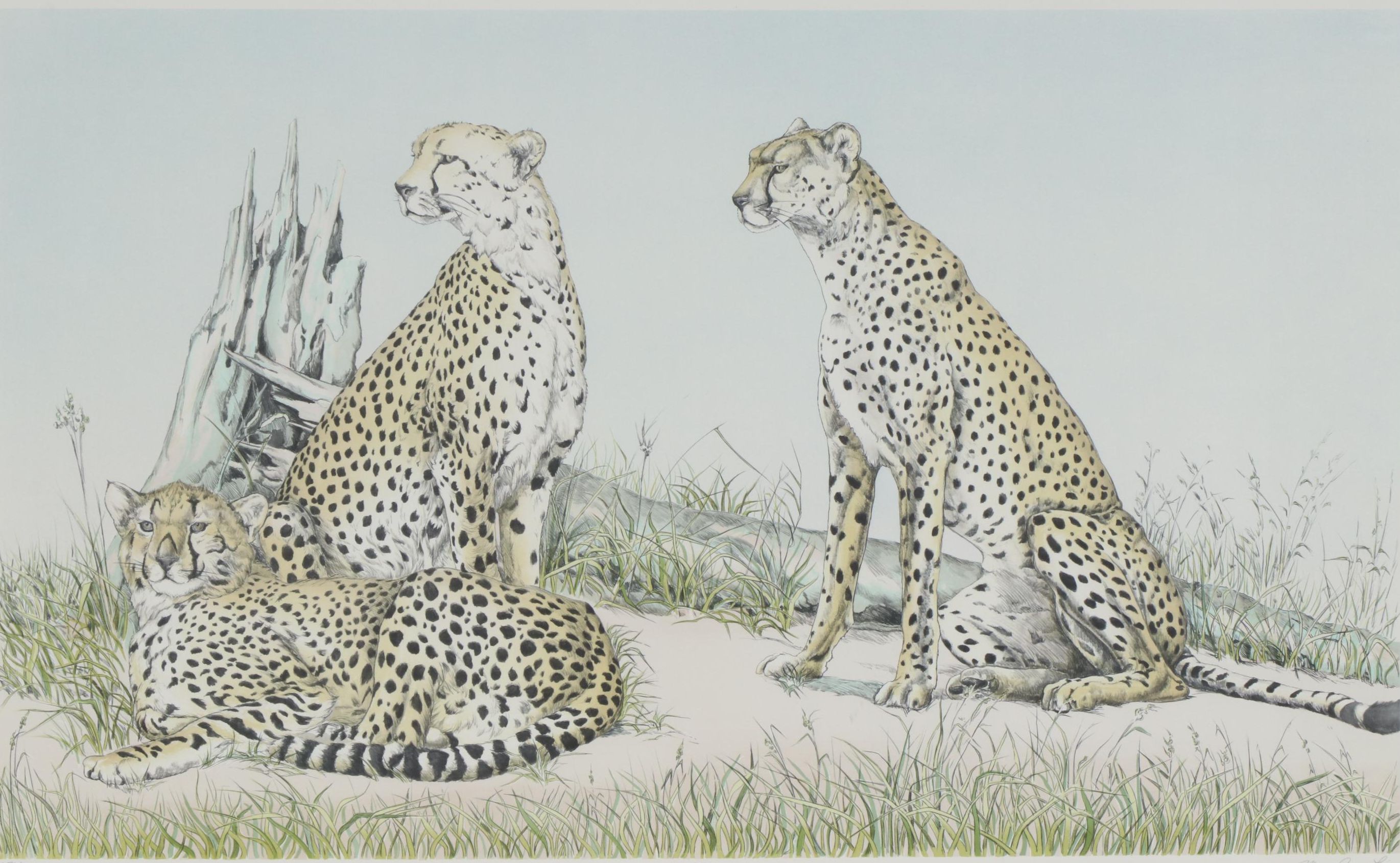 Mary Ann Lis Lithograph "Respite"