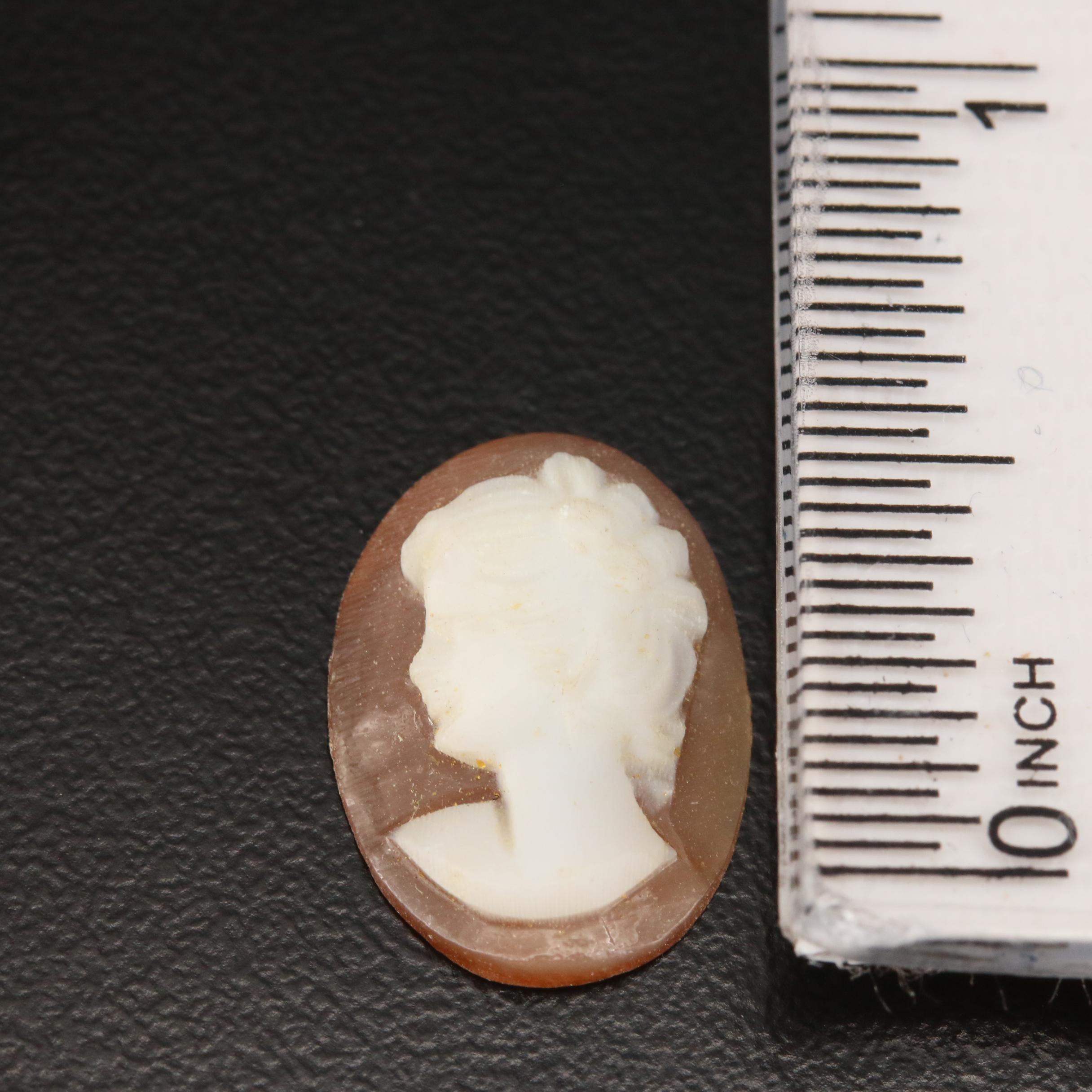 Loose Helmet Shell Assortment