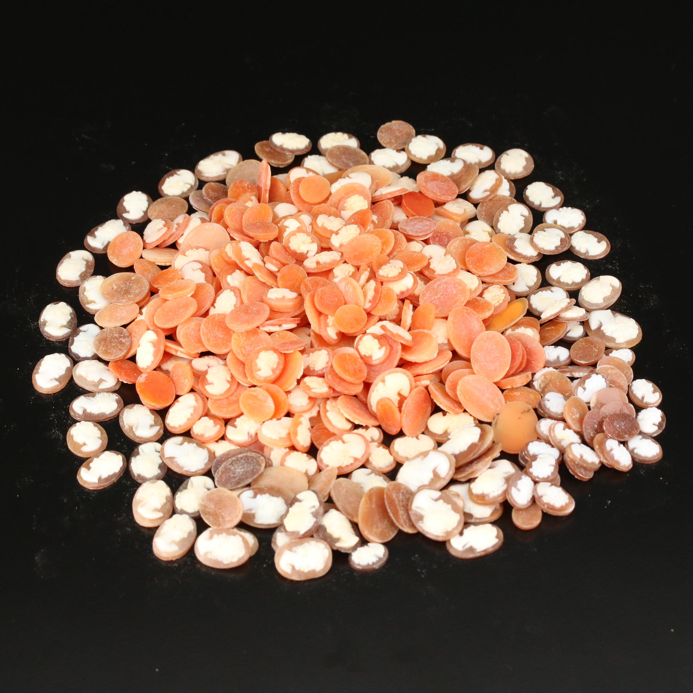 Loose Helmet Shell Assortment