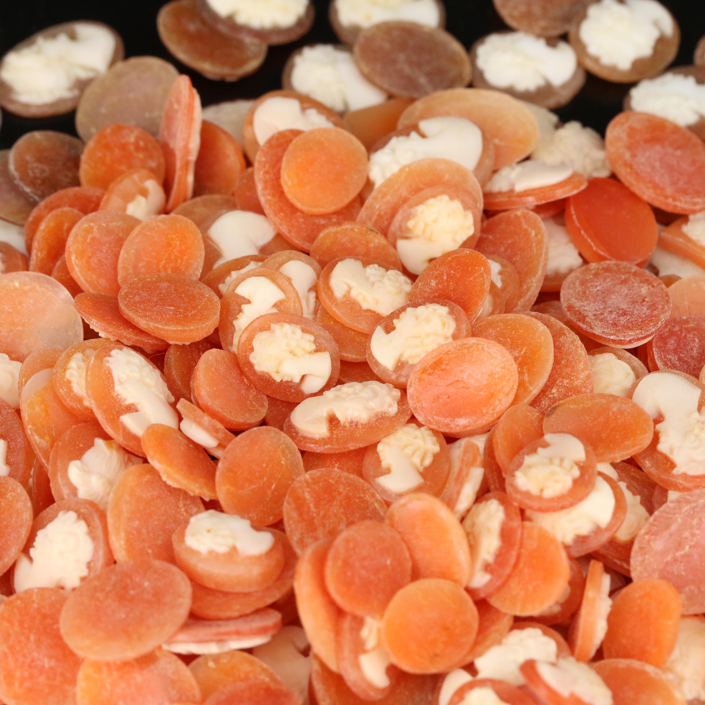 Loose Helmet Shell Assortment