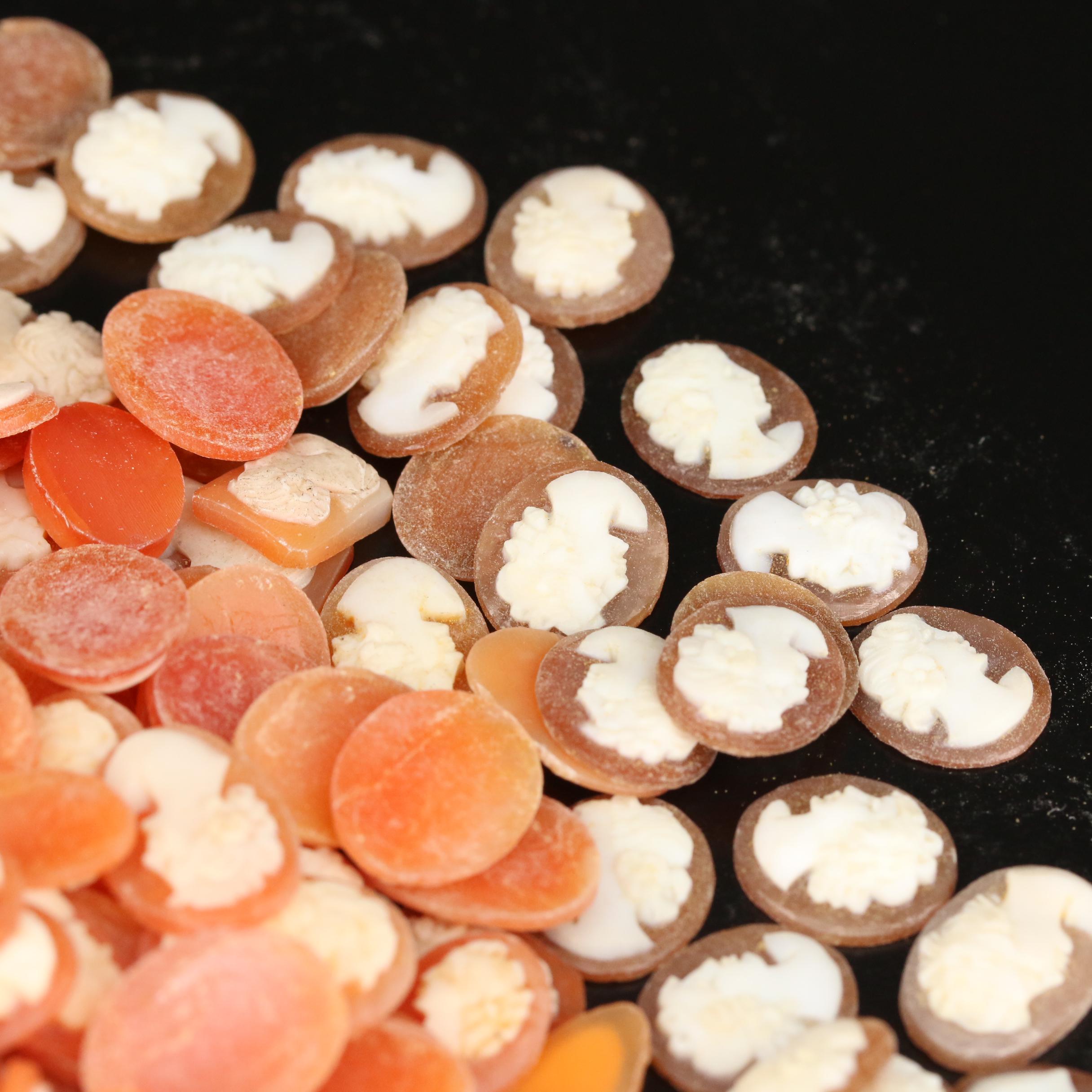 Loose Helmet Shell Assortment