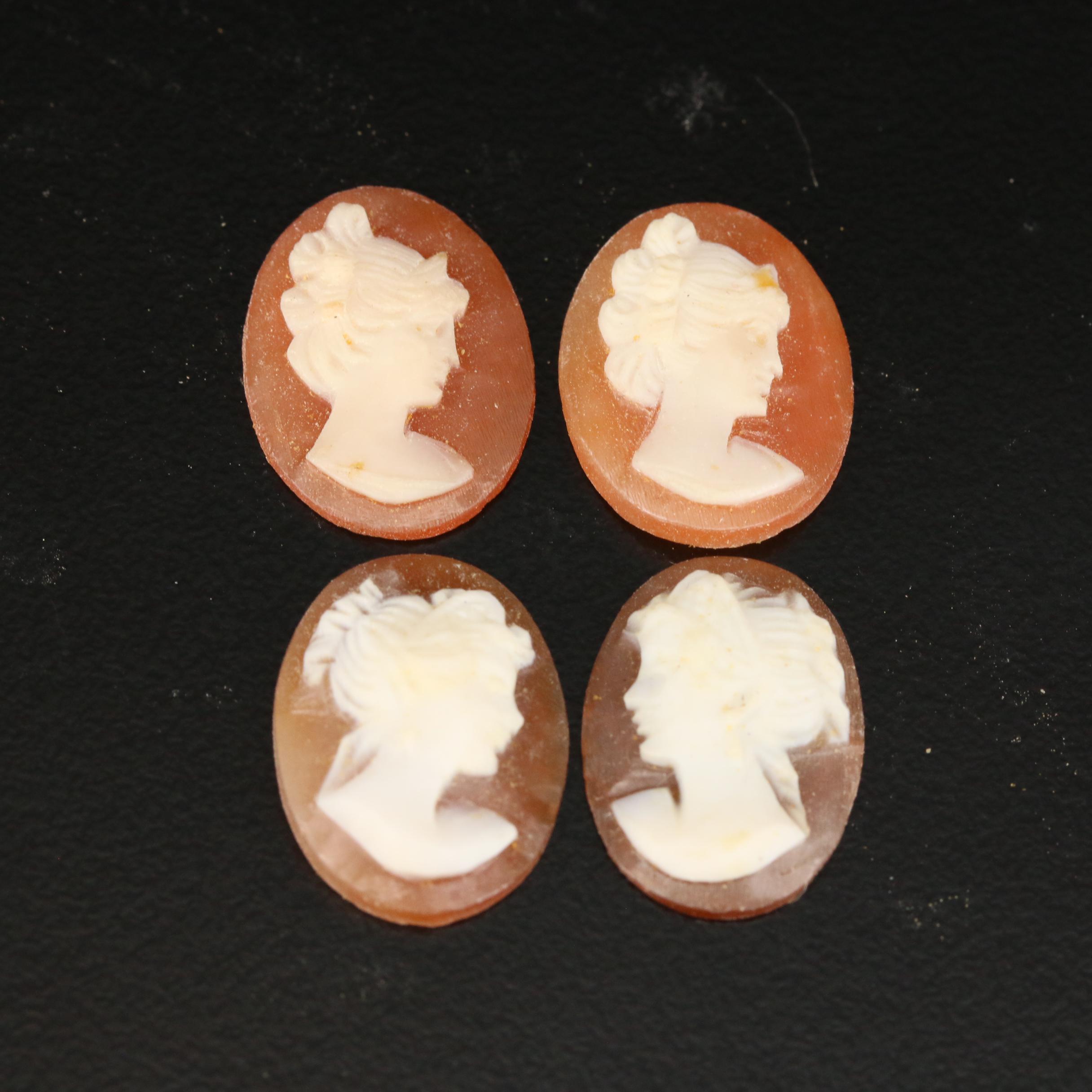 Loose Helmet Shell Assortment