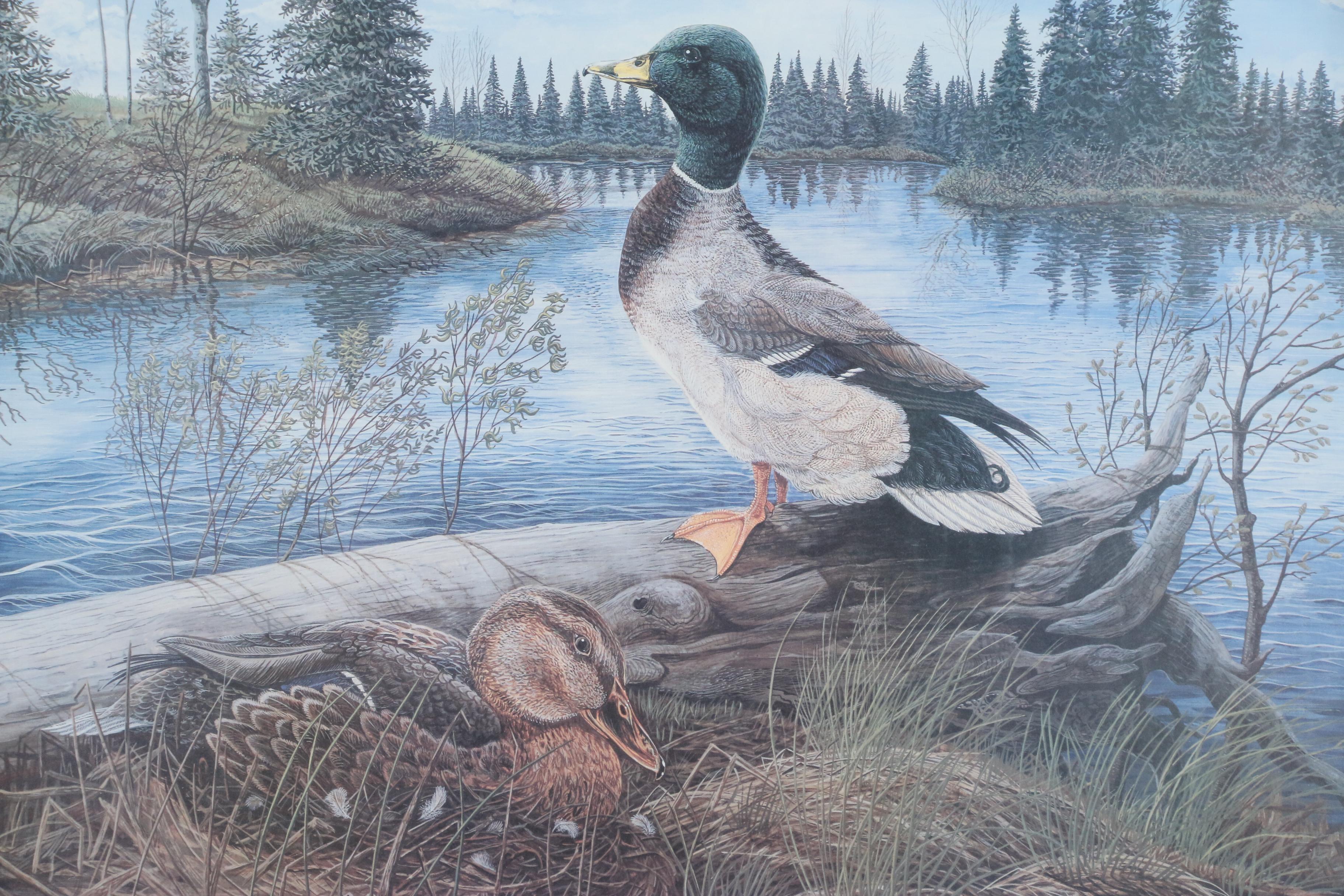 Dan R. Perotti Limited Edition Offset Lithograph "Susie's Champion"