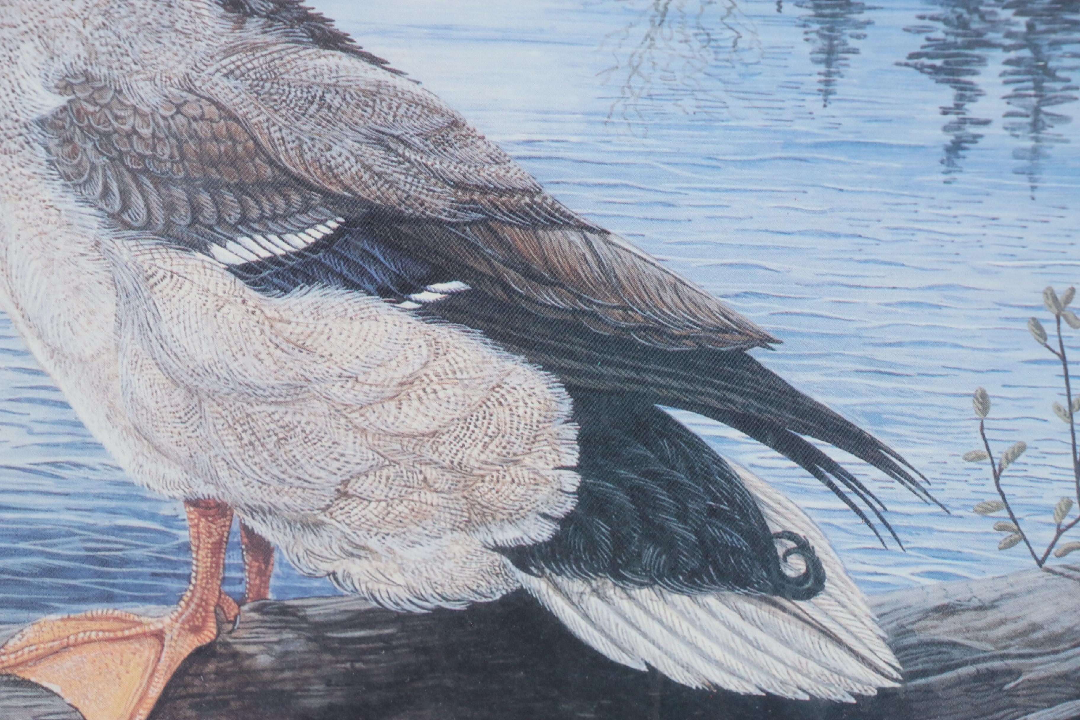 Dan R. Perotti Limited Edition Offset Lithograph "Susie's Champion"