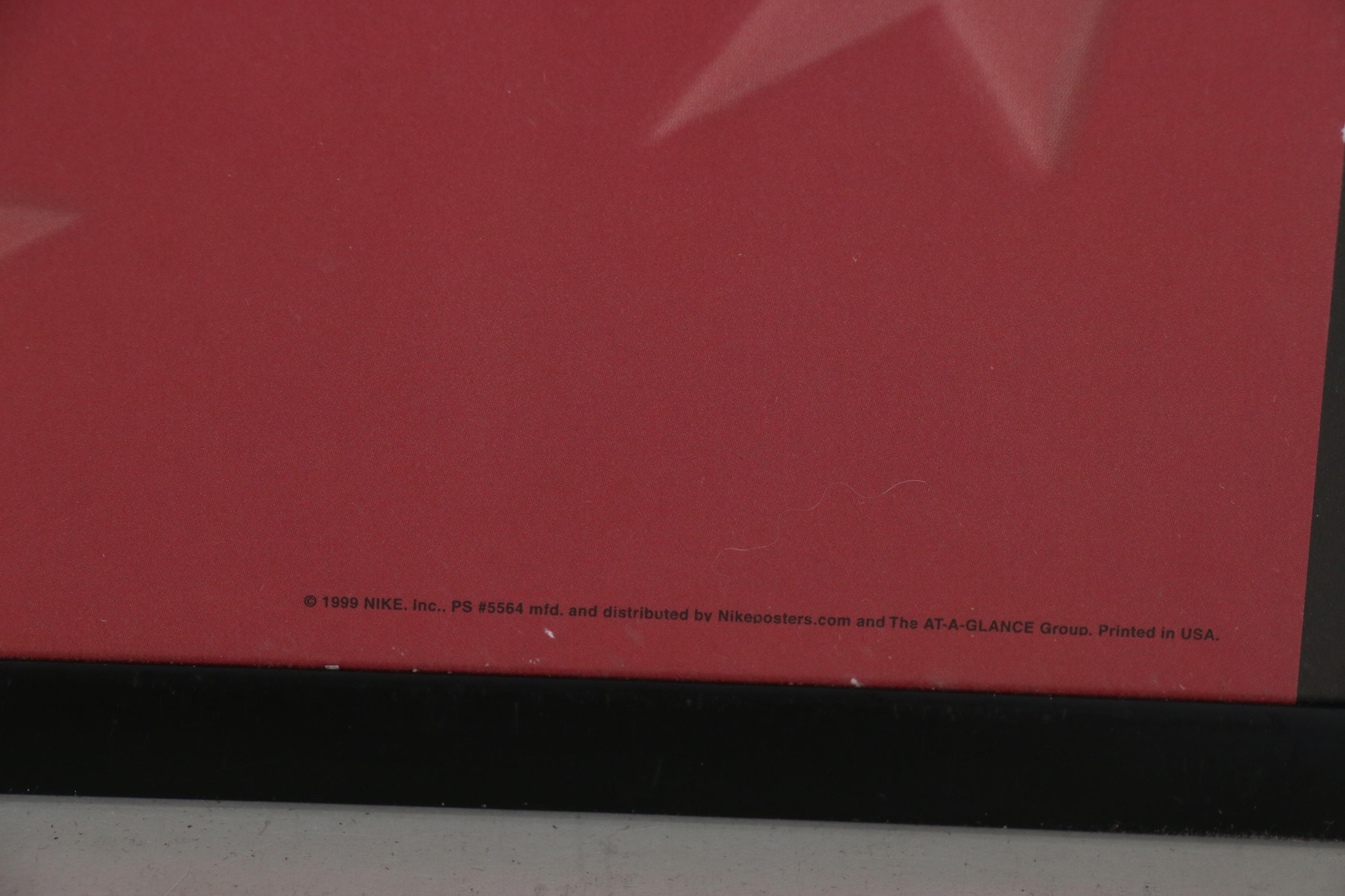 Nike Mia Hamm United States Women's National Team Framed Soccer Poster, 1999