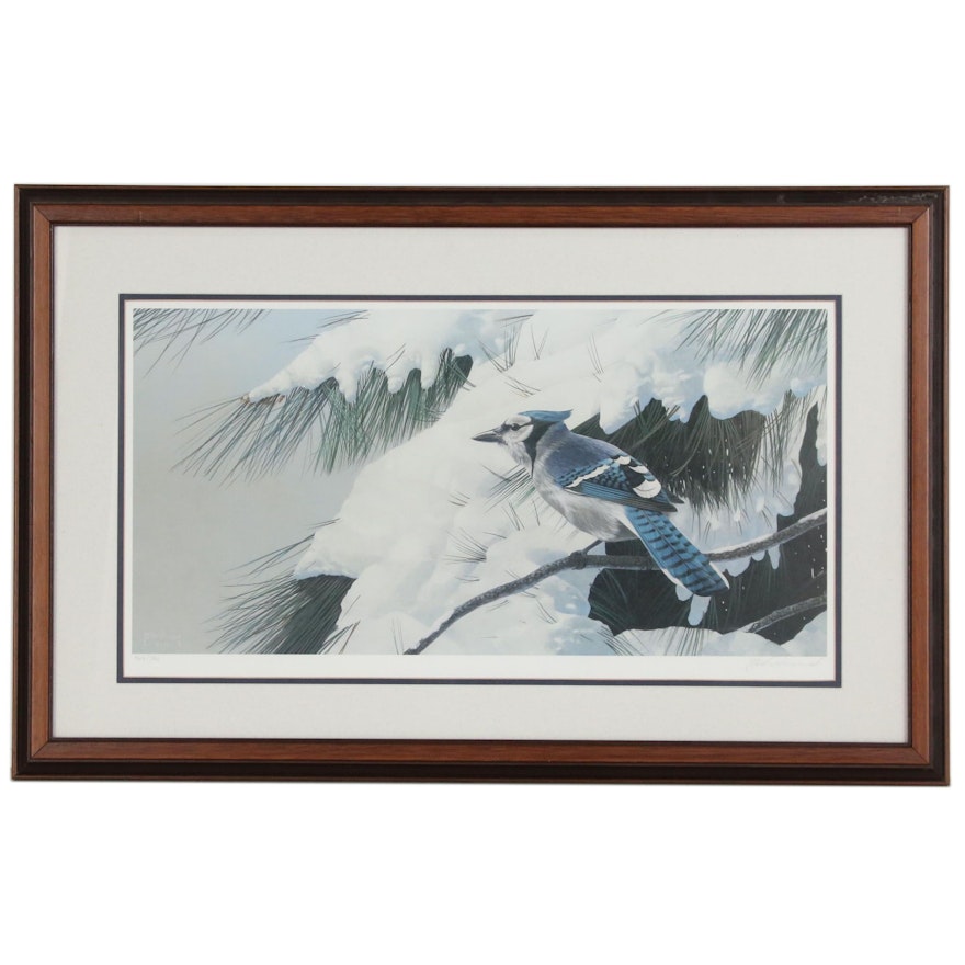 James B. Williams Limited Edition Offset Lithograph "Winter Birds Bluejay"