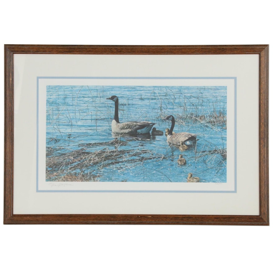 George McLean Limited Edition Offset Lithograph "Canada Goose and Gosling"