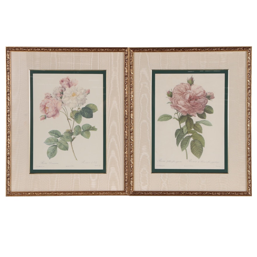 Pair of Botany Offset Lithographs after Engraving "Rosa", Late 20th Century
