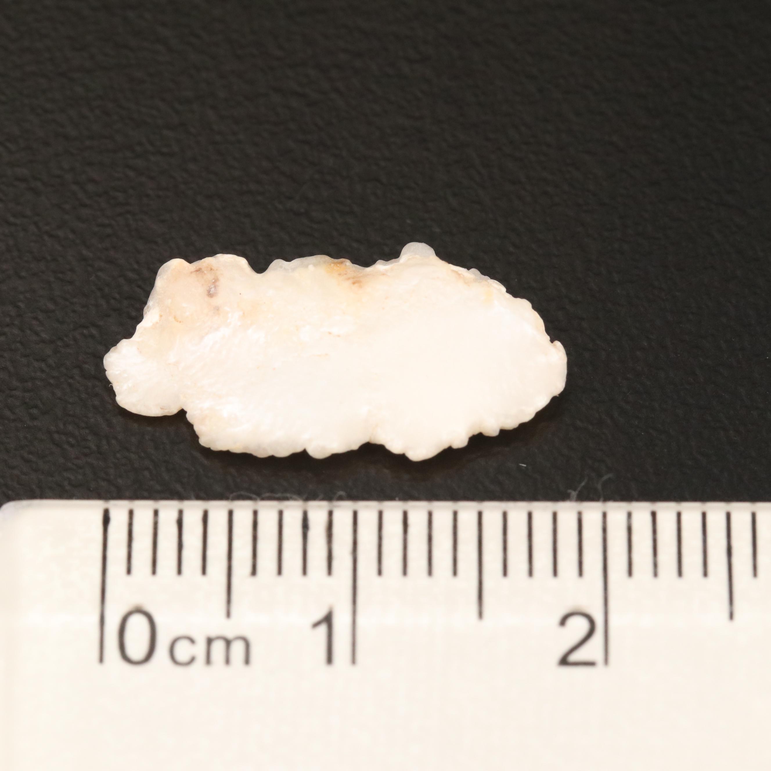 Loose 160.85 CTW Natural Cultured Pearls