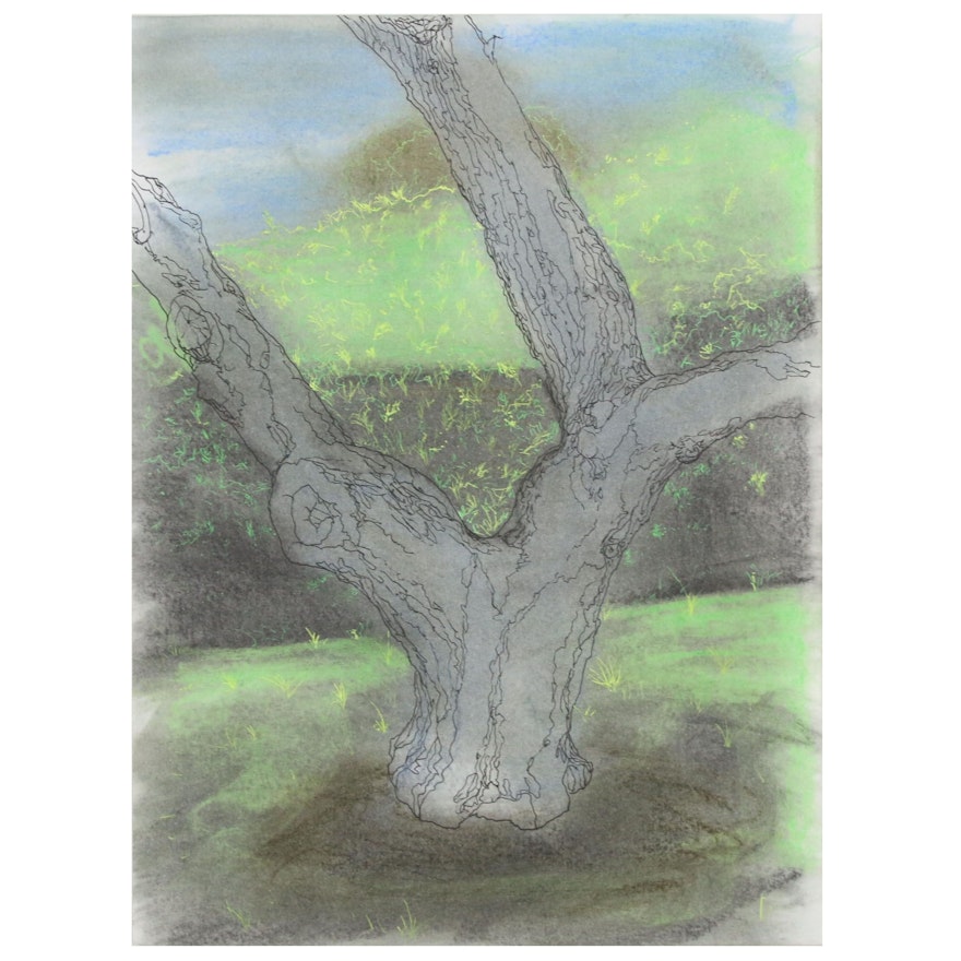 Peter Rappoli Mixed Media Drawing of Tree, 2010