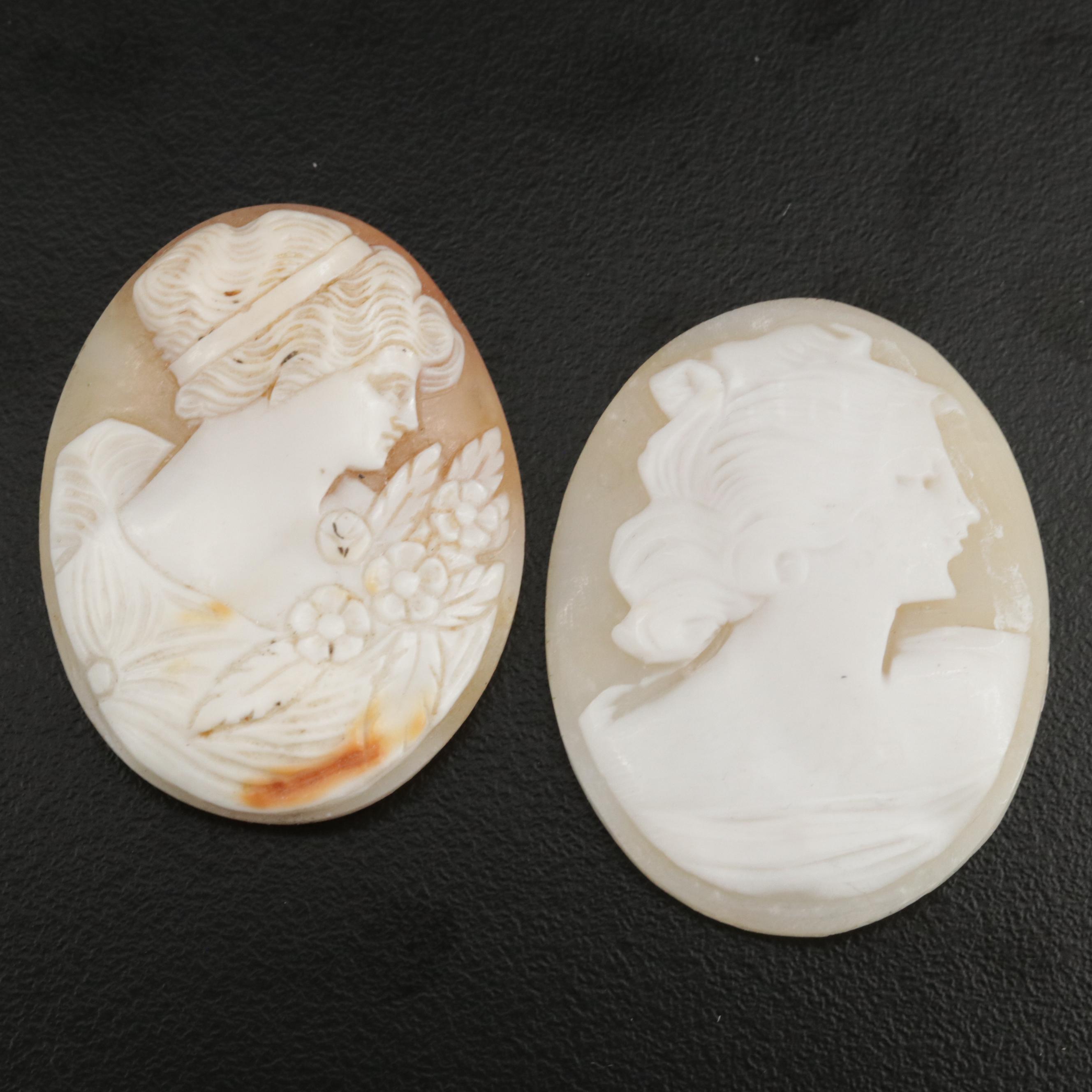 Loose Shells Featuring Carved Cameo Designs