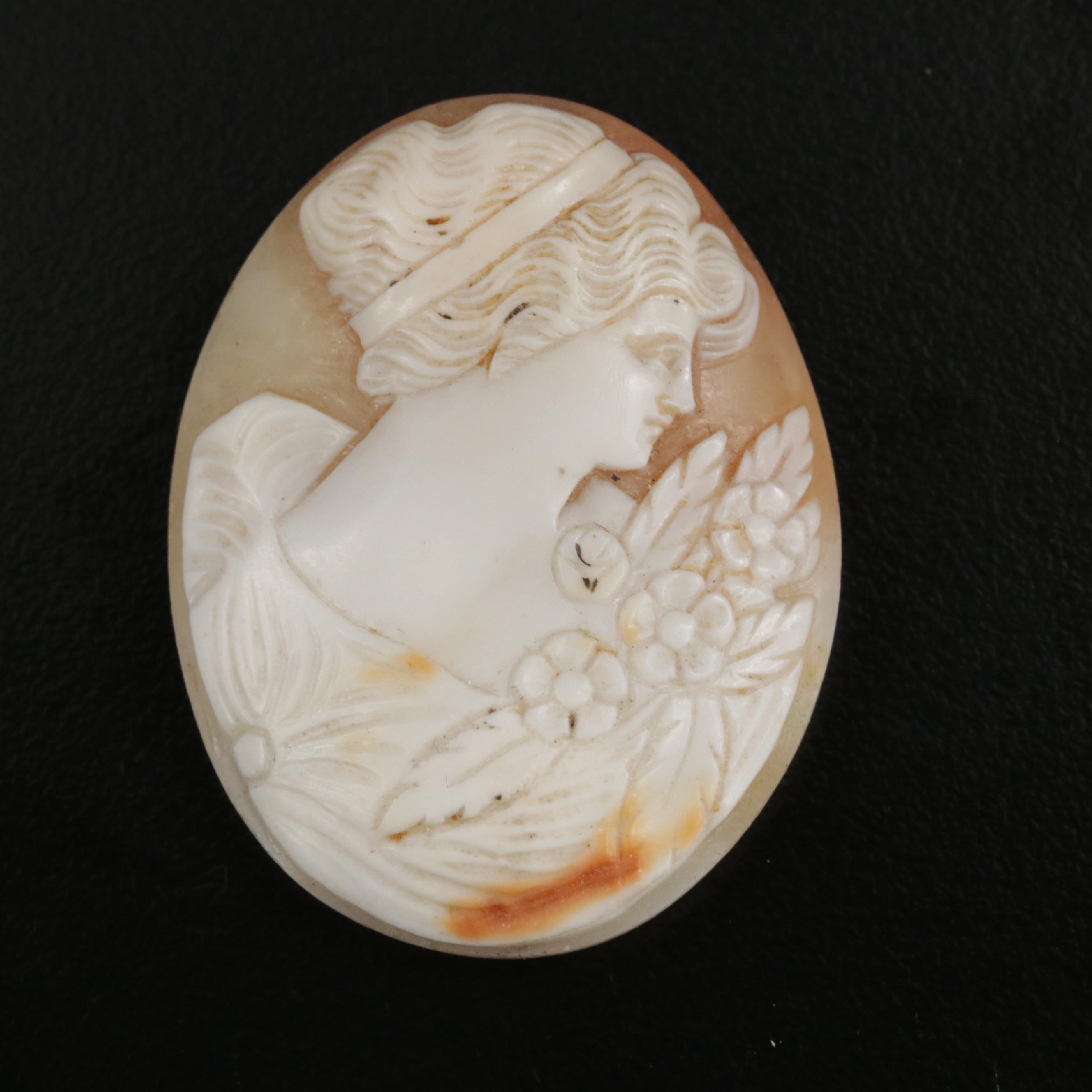 Loose Shells Featuring Carved Cameo Designs