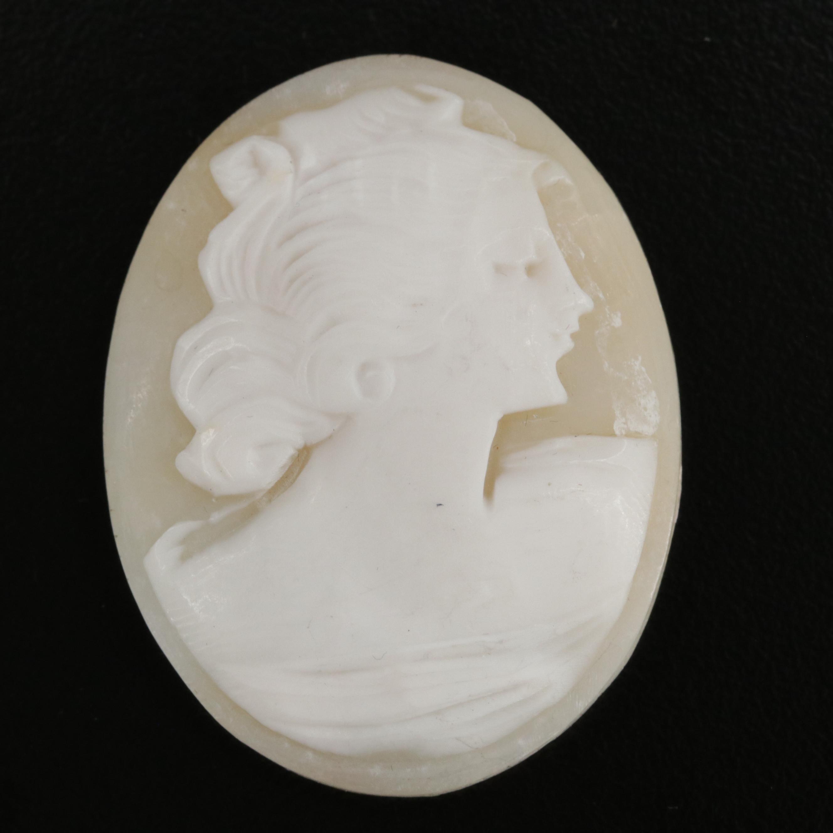 Loose Shells Featuring Carved Cameo Designs