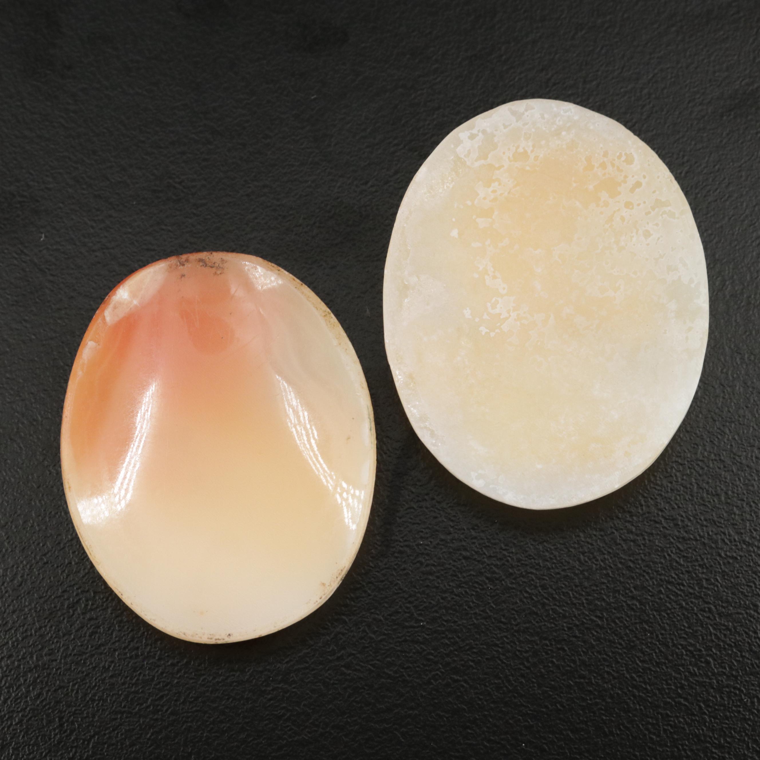 Loose Shells Featuring Carved Cameo Designs