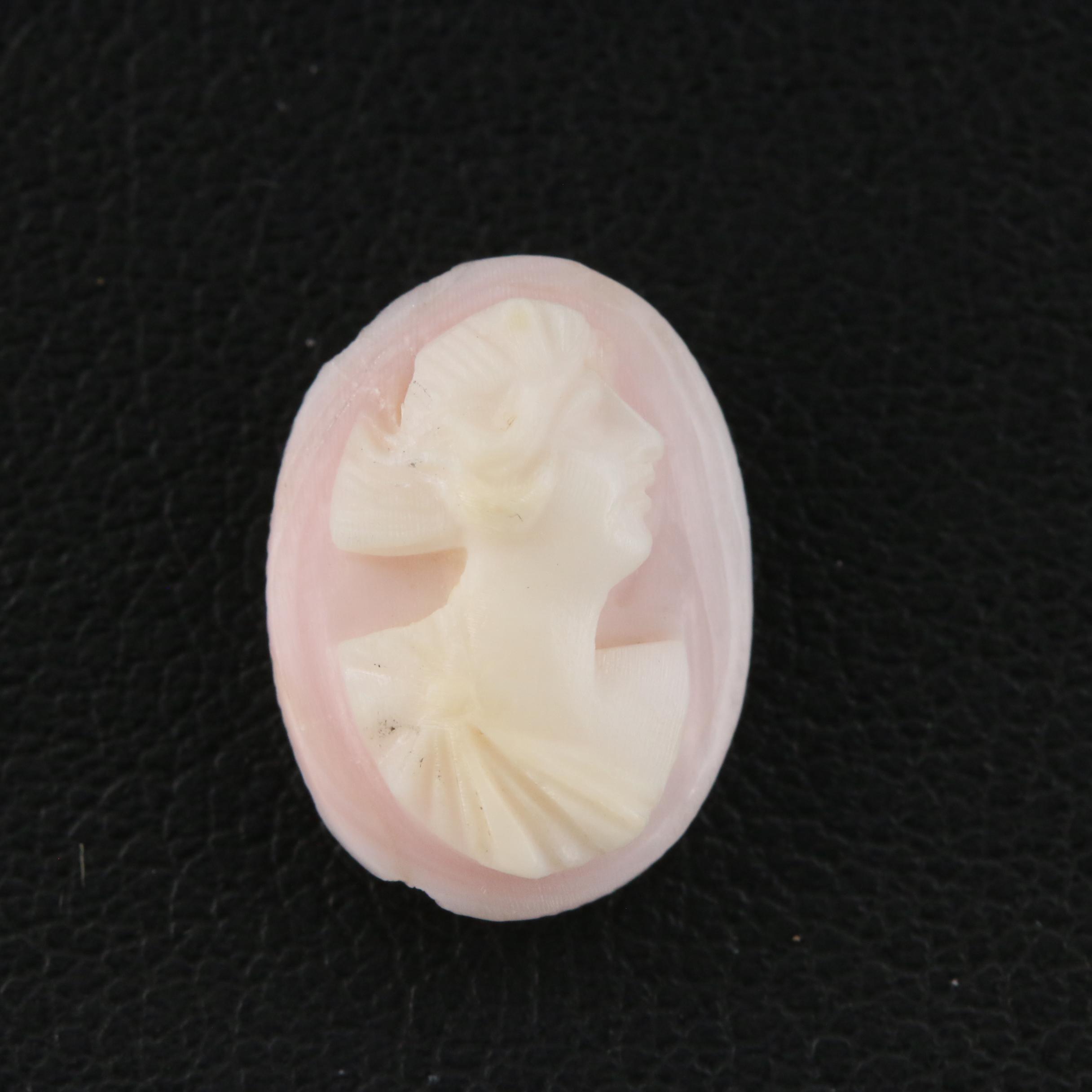 Loose Conch Shell Cameo