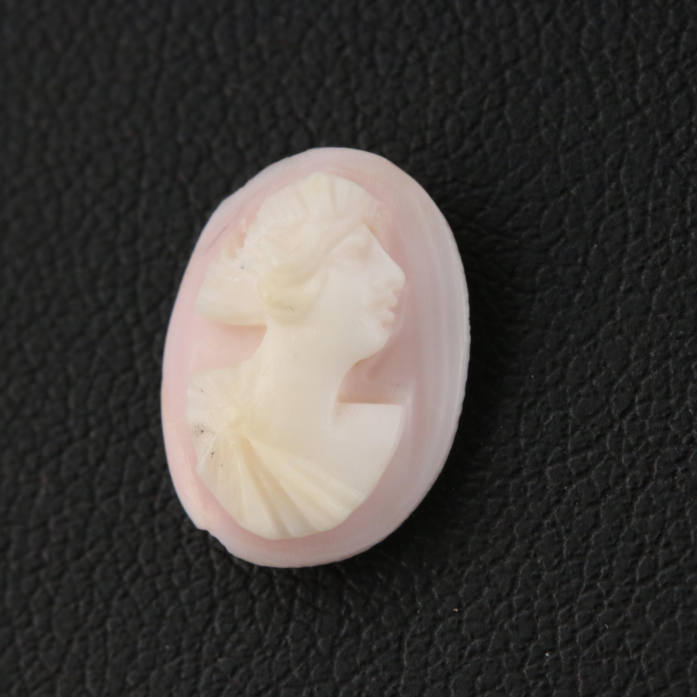 Loose Conch Shell Cameo