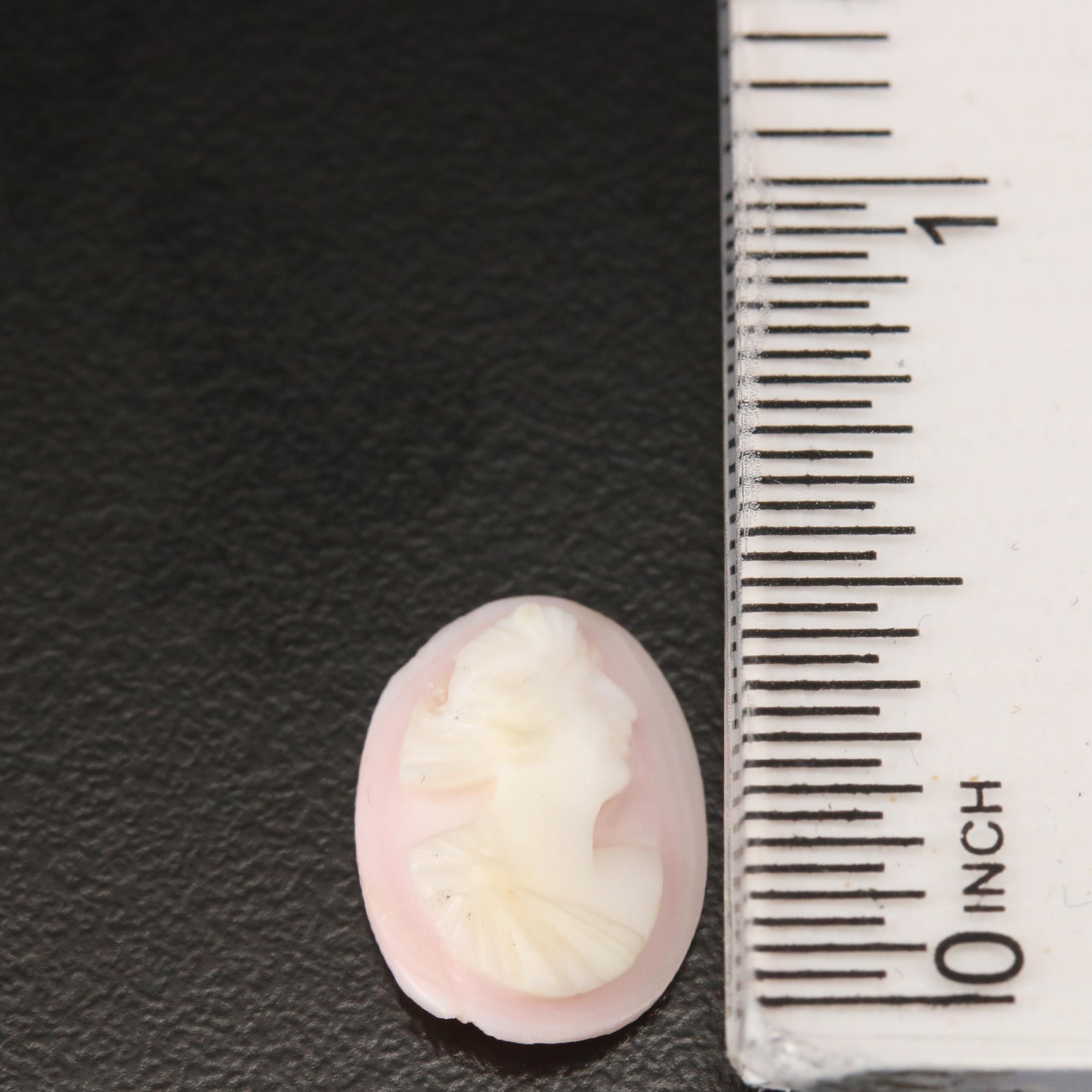 Loose Conch Shell Cameo