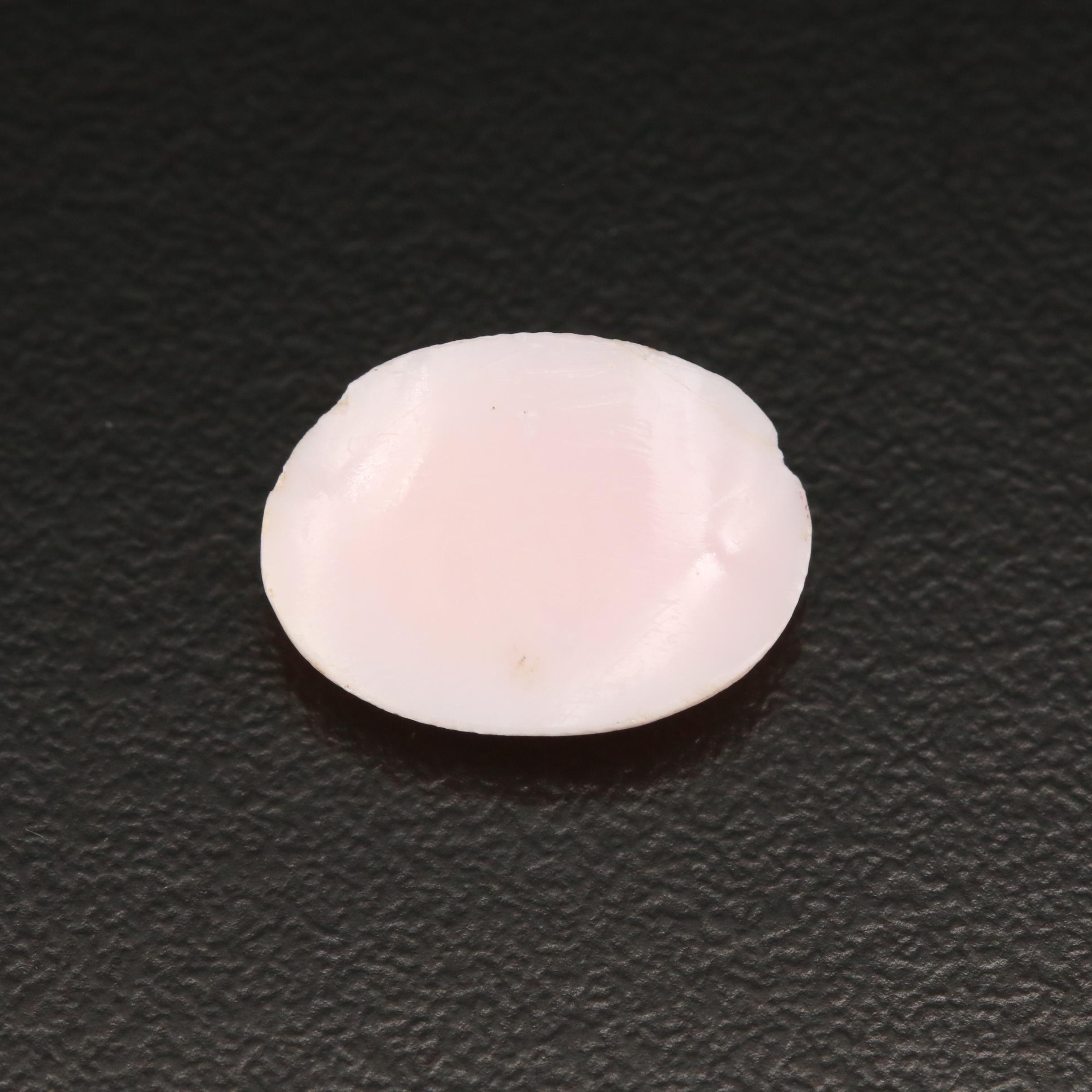 Loose Conch Shell Cameo