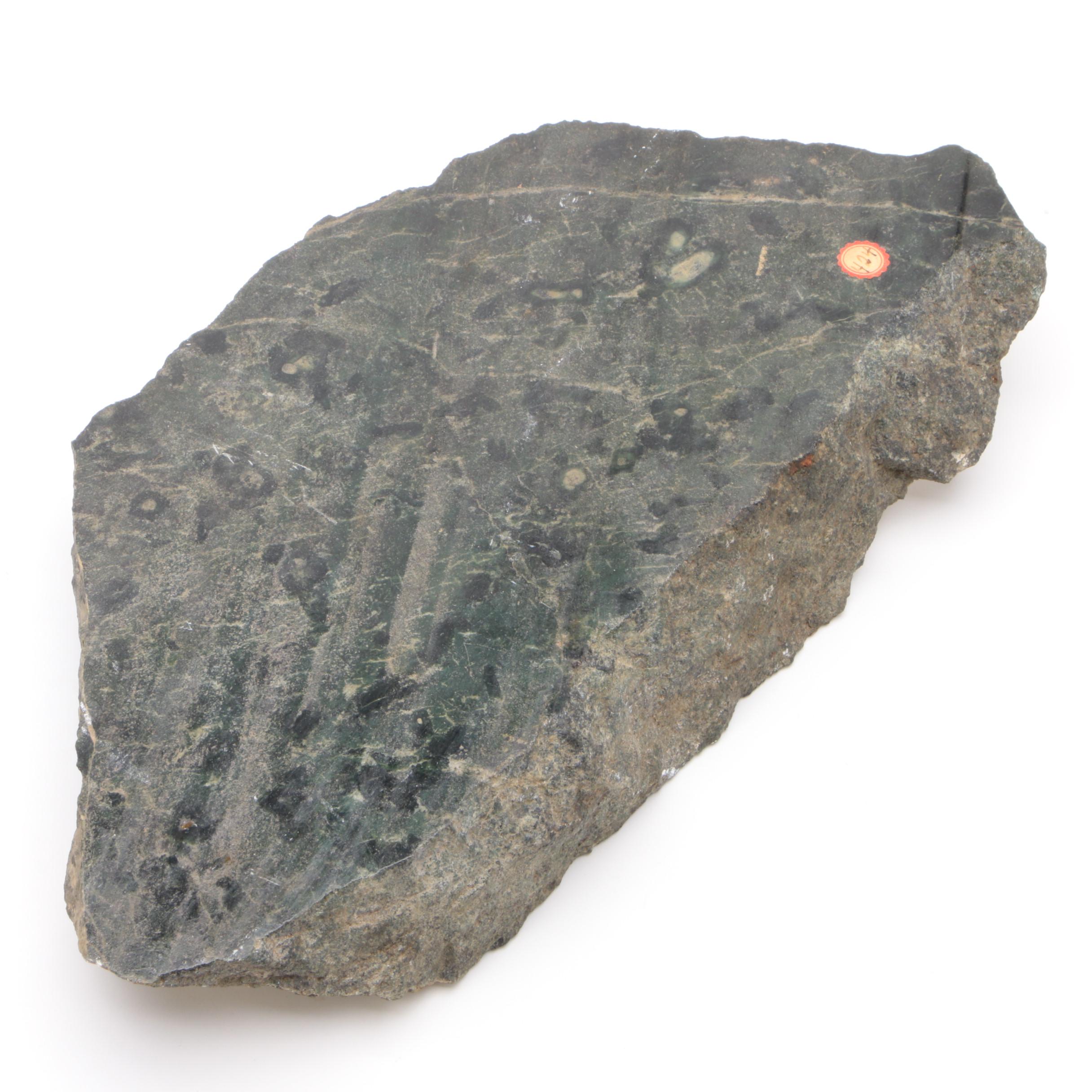Phyllite Rock Sample with Mineral Inclusions