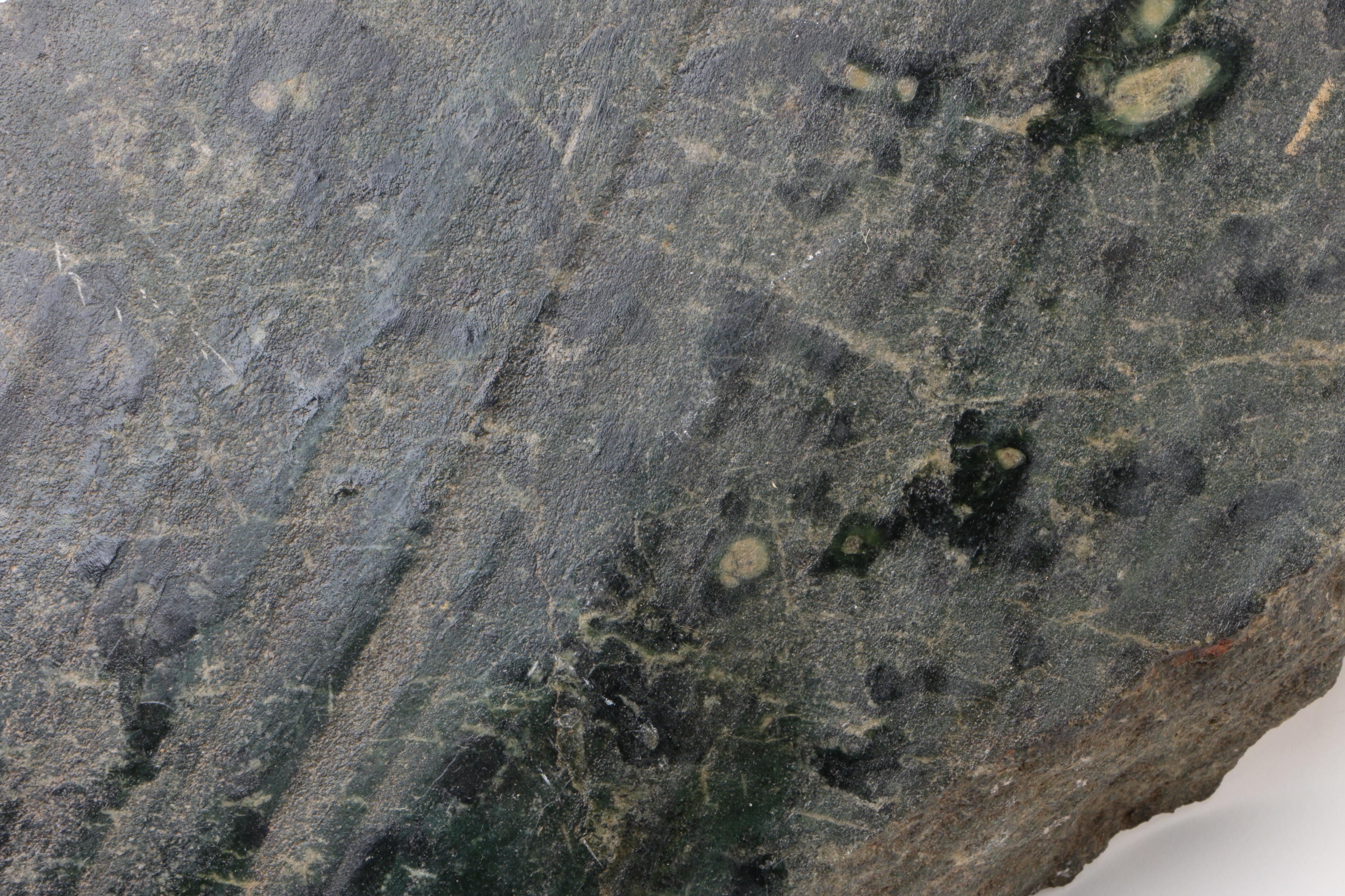 Phyllite Rock Sample with Mineral Inclusions