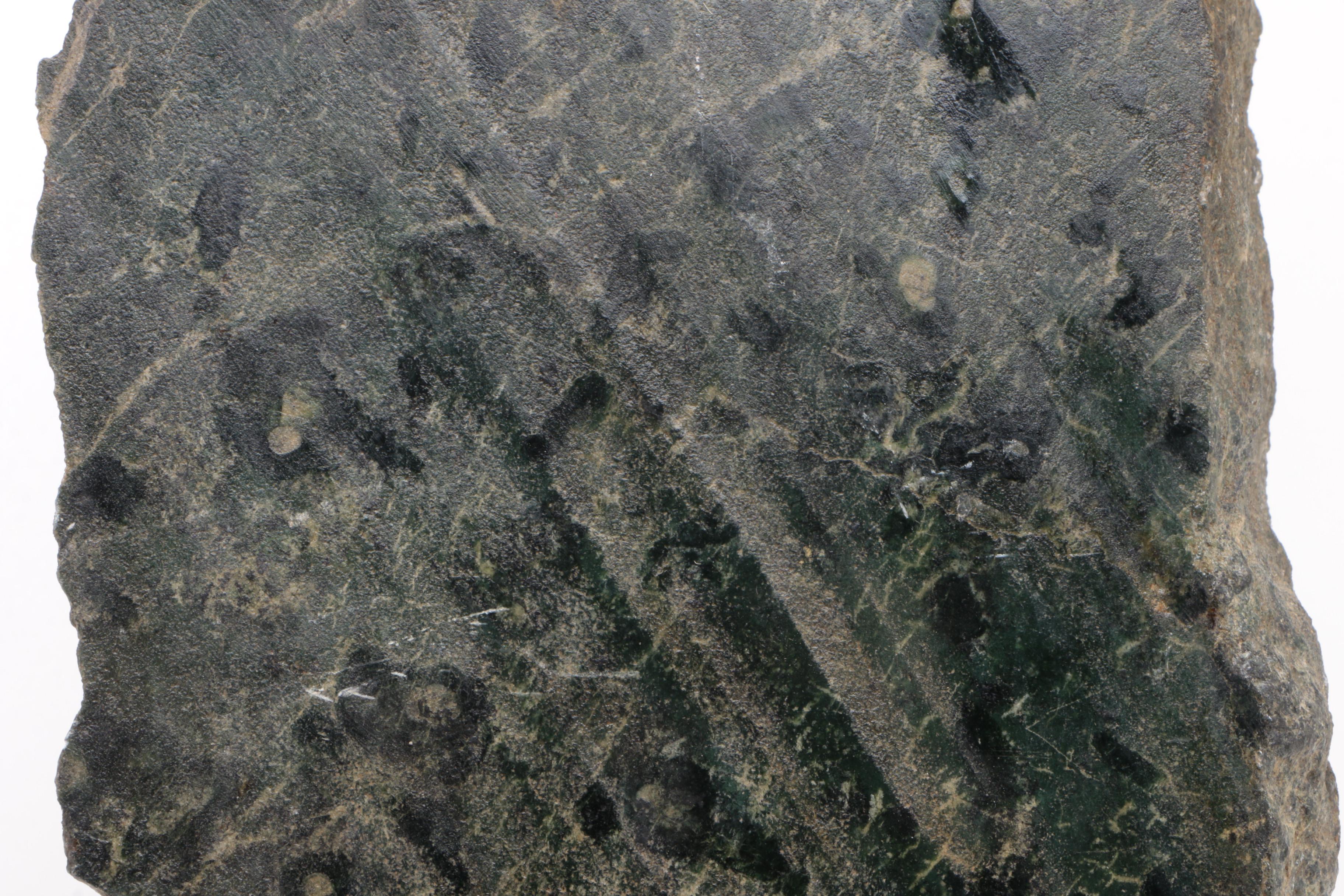 Phyllite Rock Sample with Mineral Inclusions