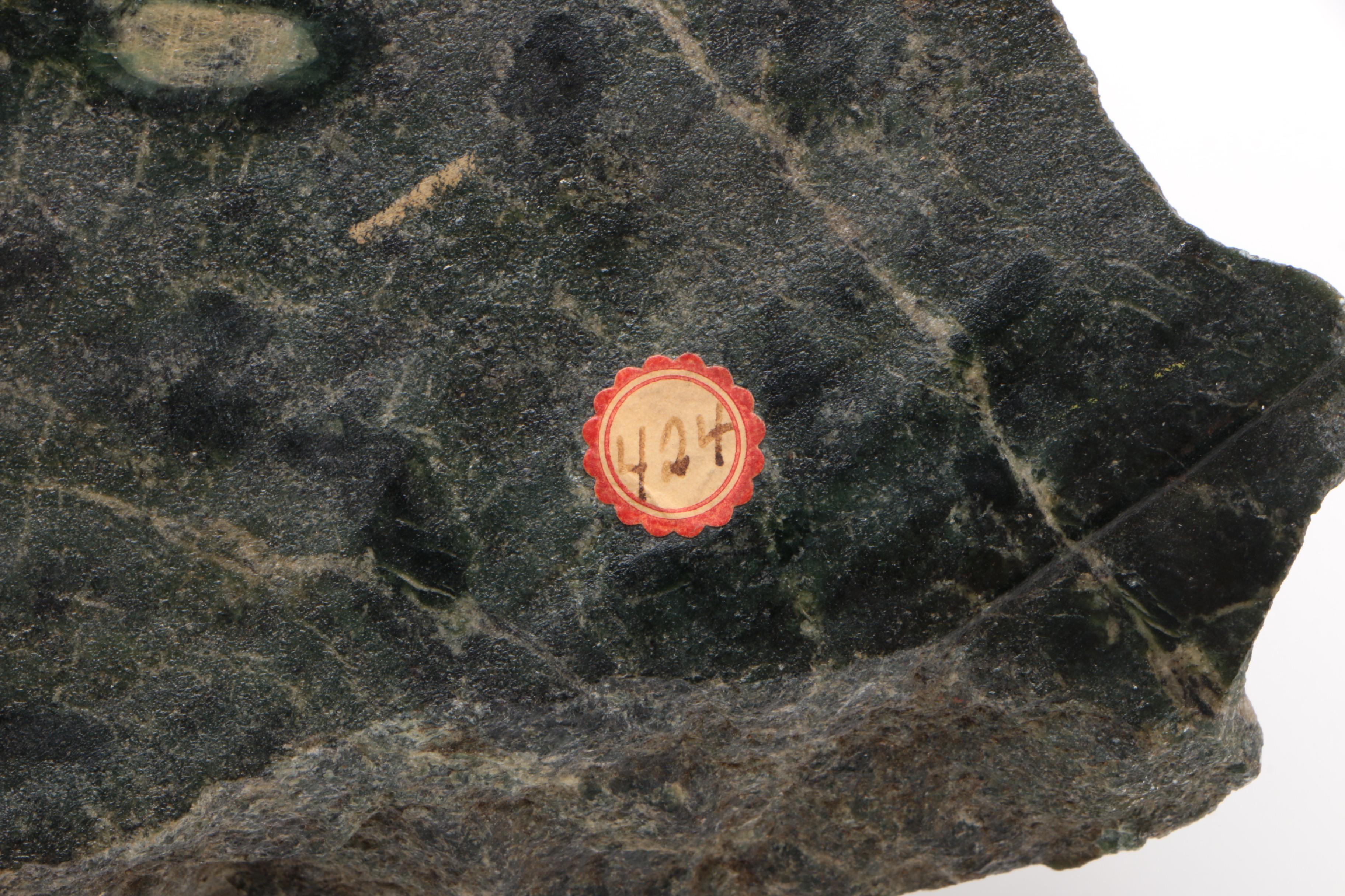 Phyllite Rock Sample with Mineral Inclusions