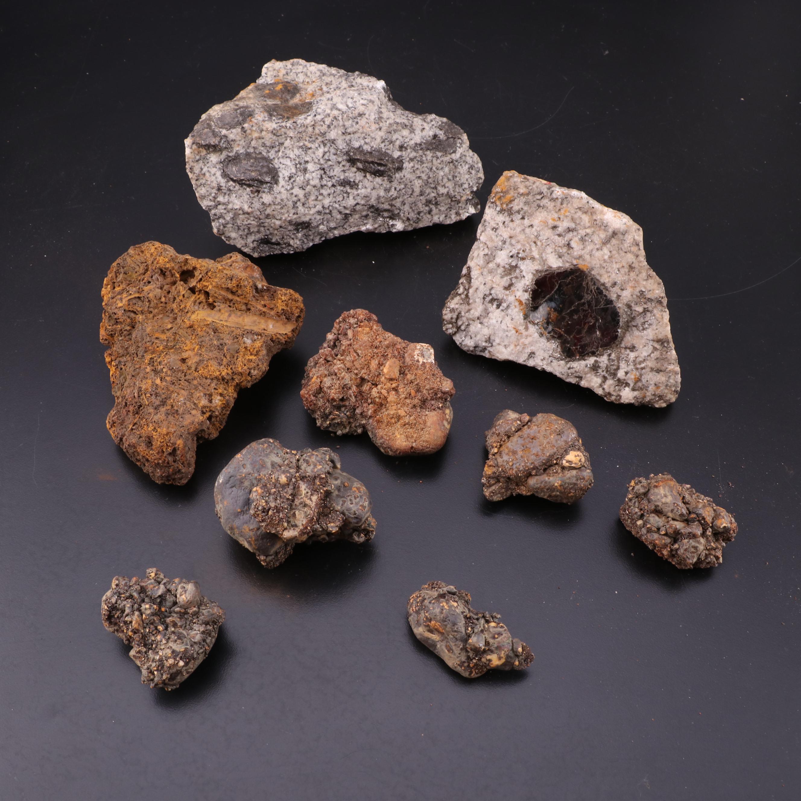 Biotite, Diorite, Mica, Chert and Other Rock and Mineral Specimens