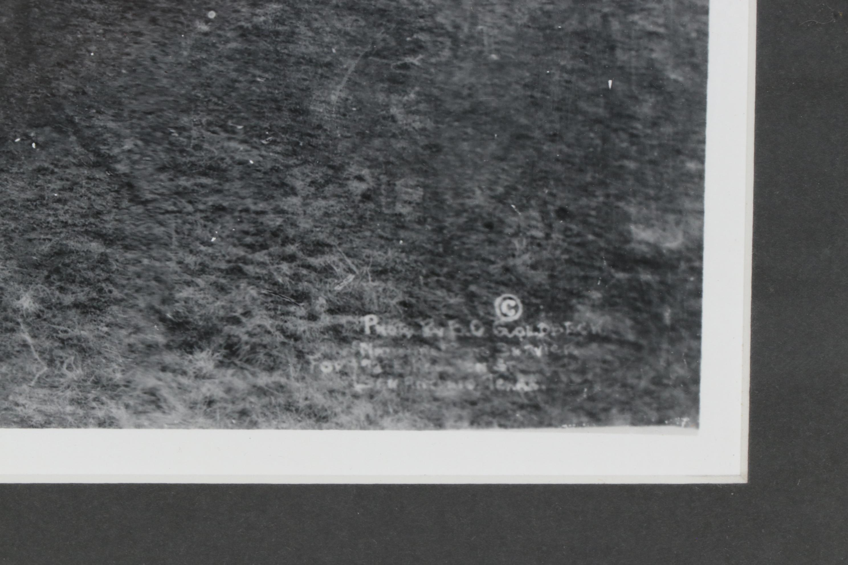 E.O. Goldbeck Reprint Panoramic Photograph "Living Air Service Insignia"