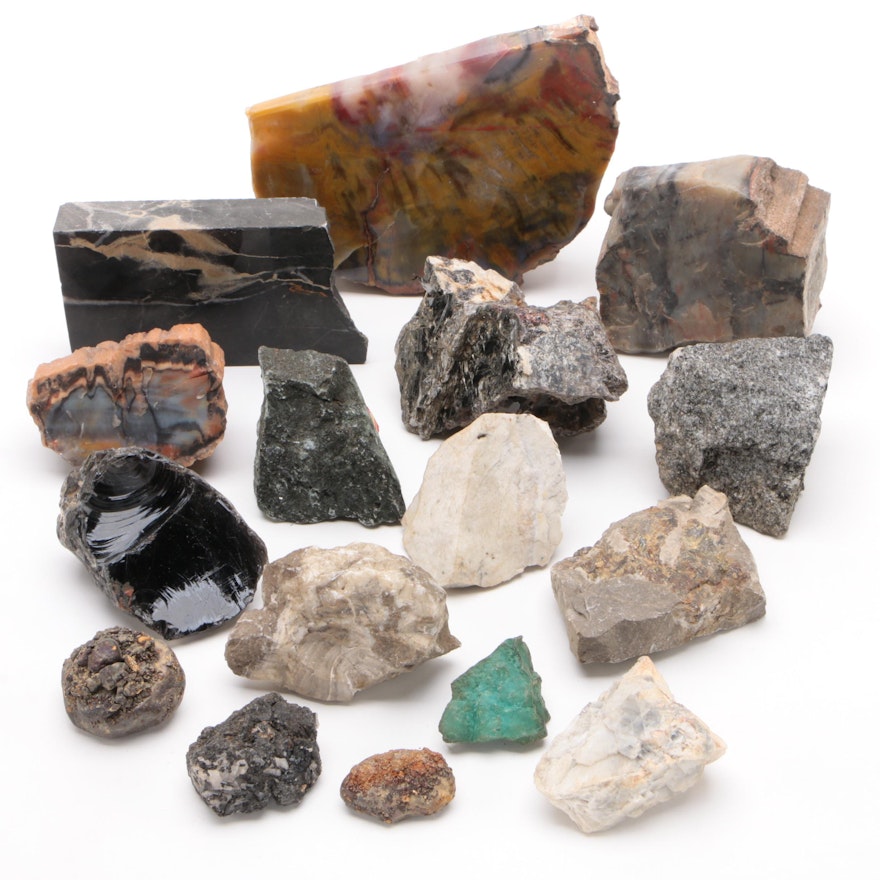 Petrified Wood, Gabbro, Chert with Other Rocks and Minerals