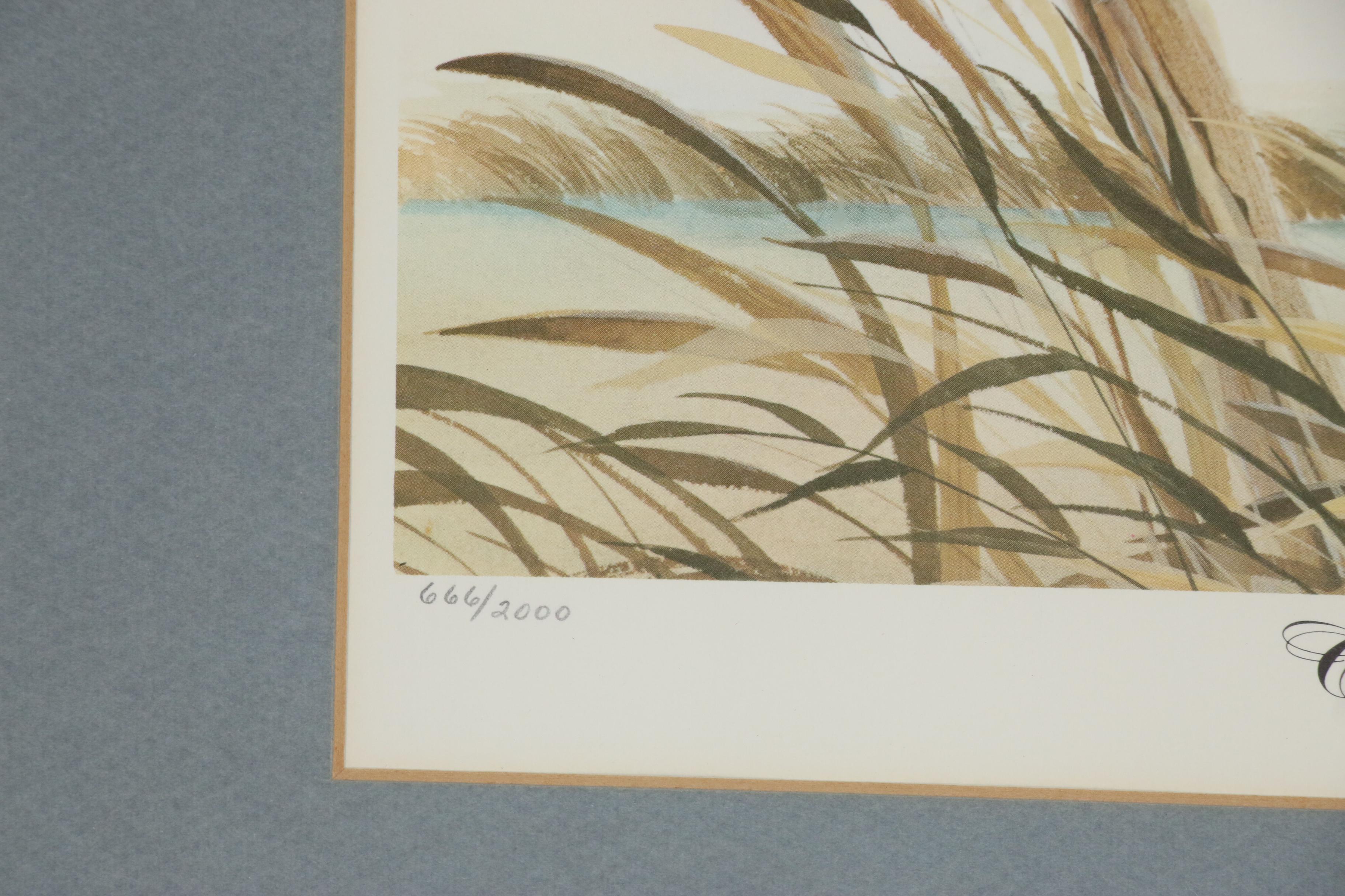 John Ruthven Offset Lithograph "Cinnamon Teal"