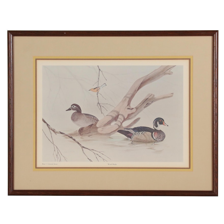 Offset Lithograph After John Ruthven "Wood Ducks"