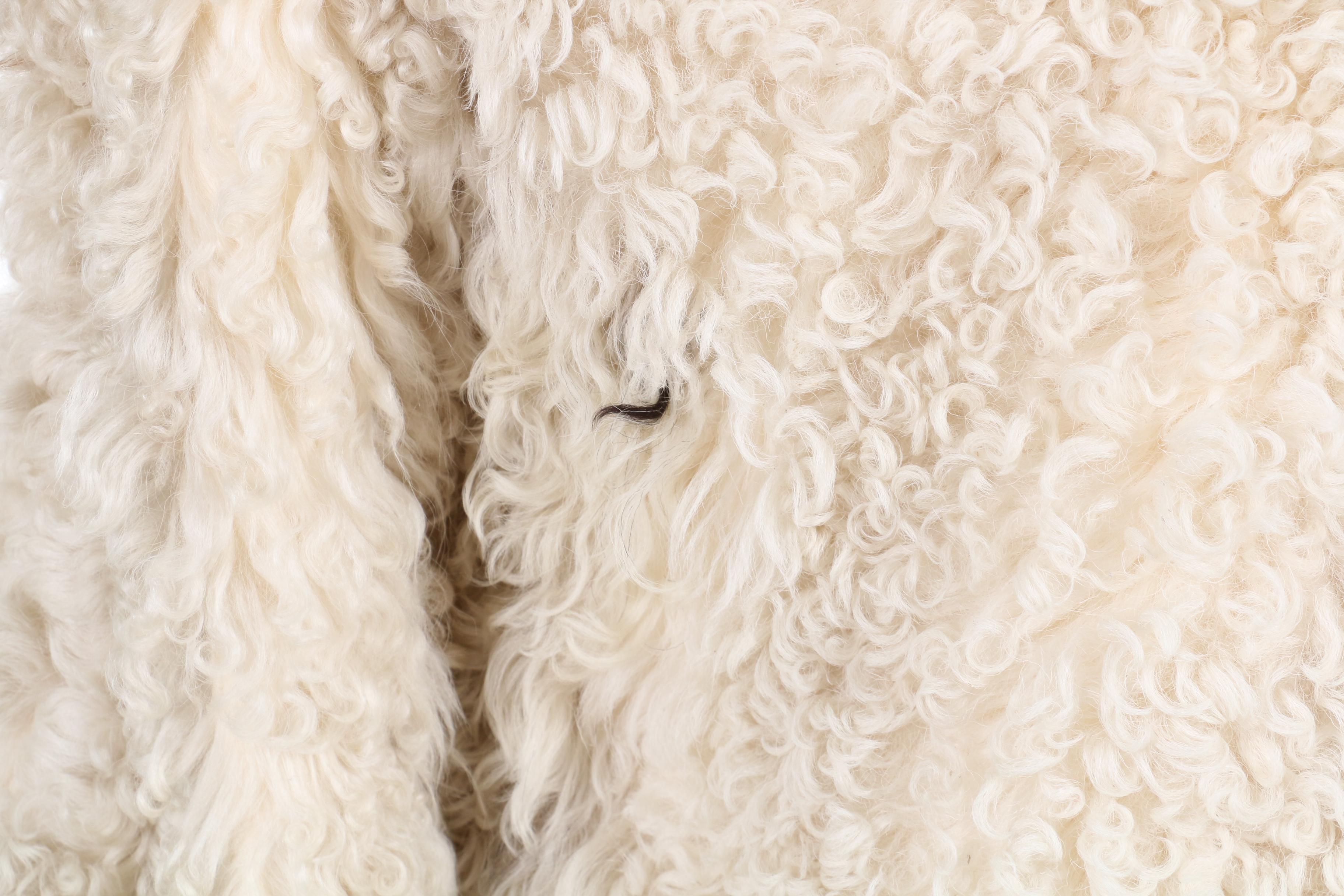 Albert Alfus Mongolian Lamb Fur Coat with Leather Trim, 1970s Vintage