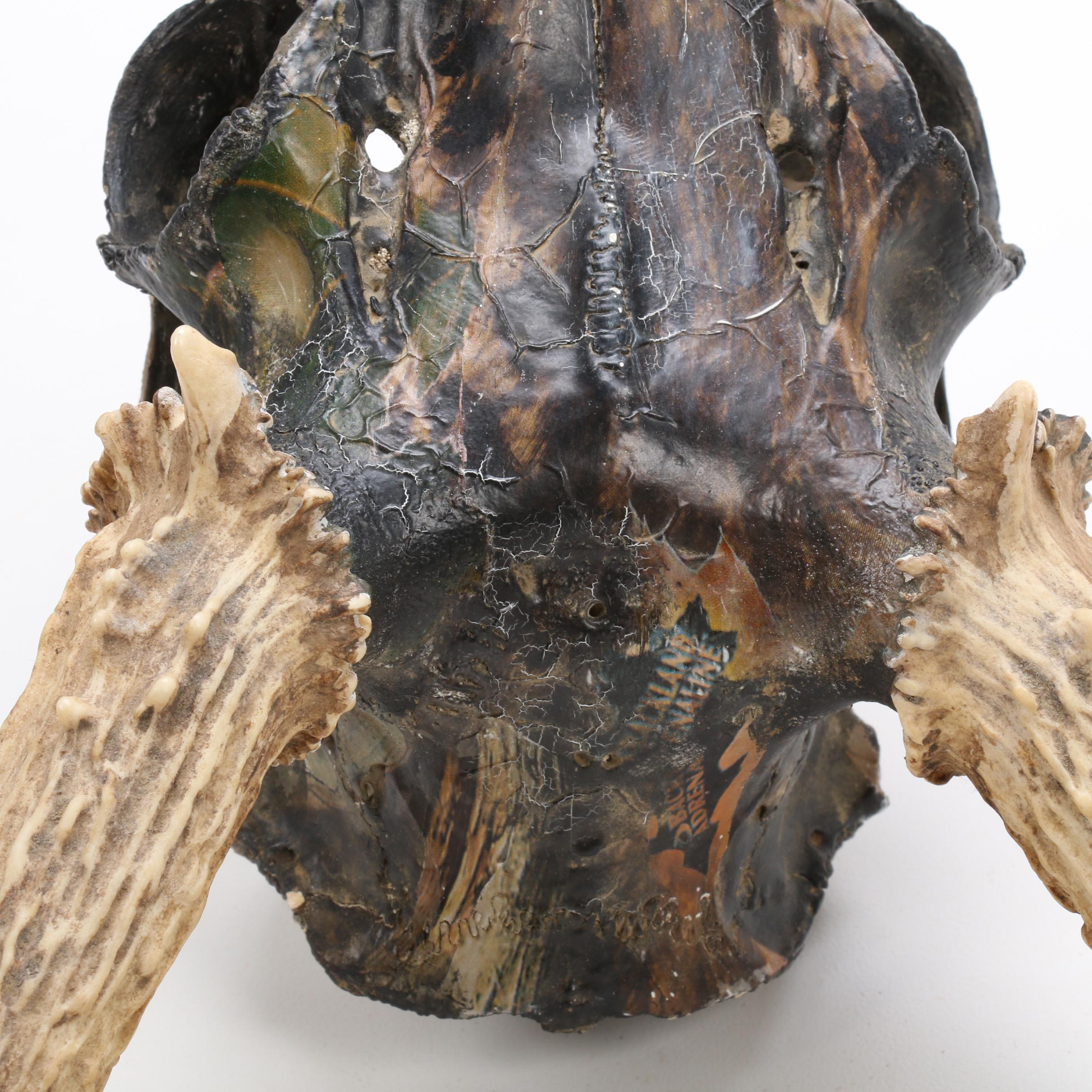 Hydro Dipped White Tailed Deer Skull