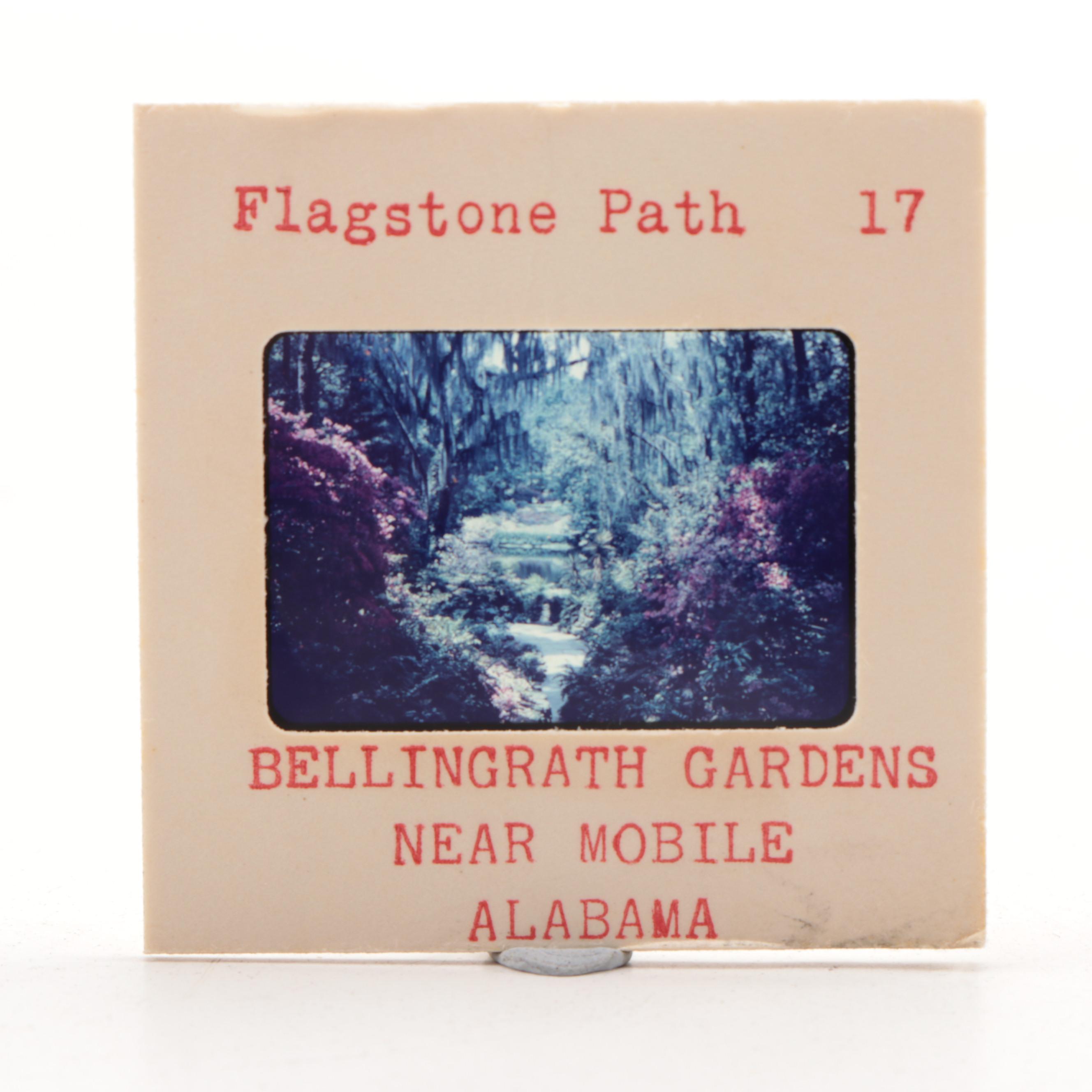 Kodak Kodaslide Model 2A Projector with Case and Bellingrath Gardens Slides