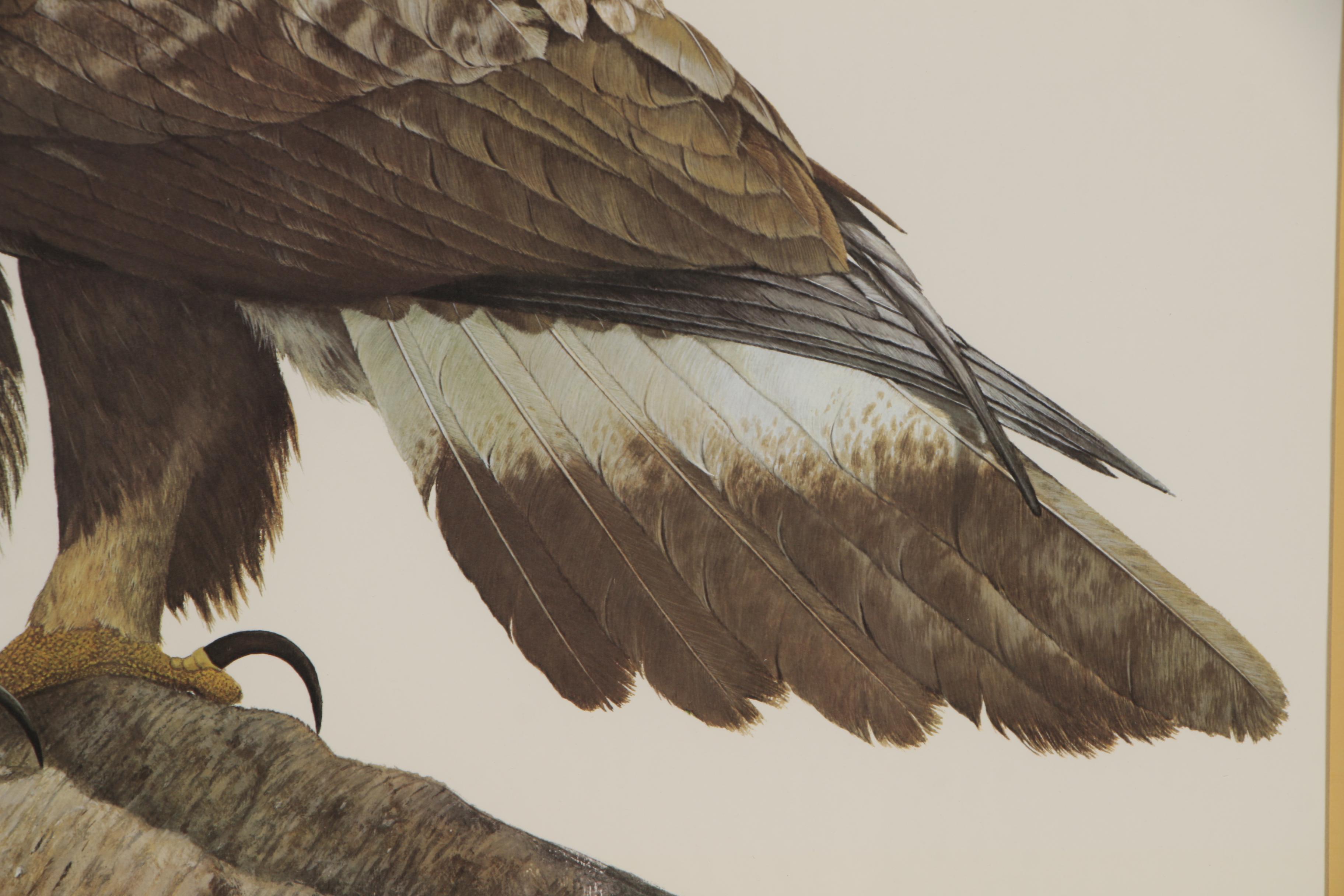 Ray Harm Print "The General Creighton W. Abrams Commemorative Golden Eagle"