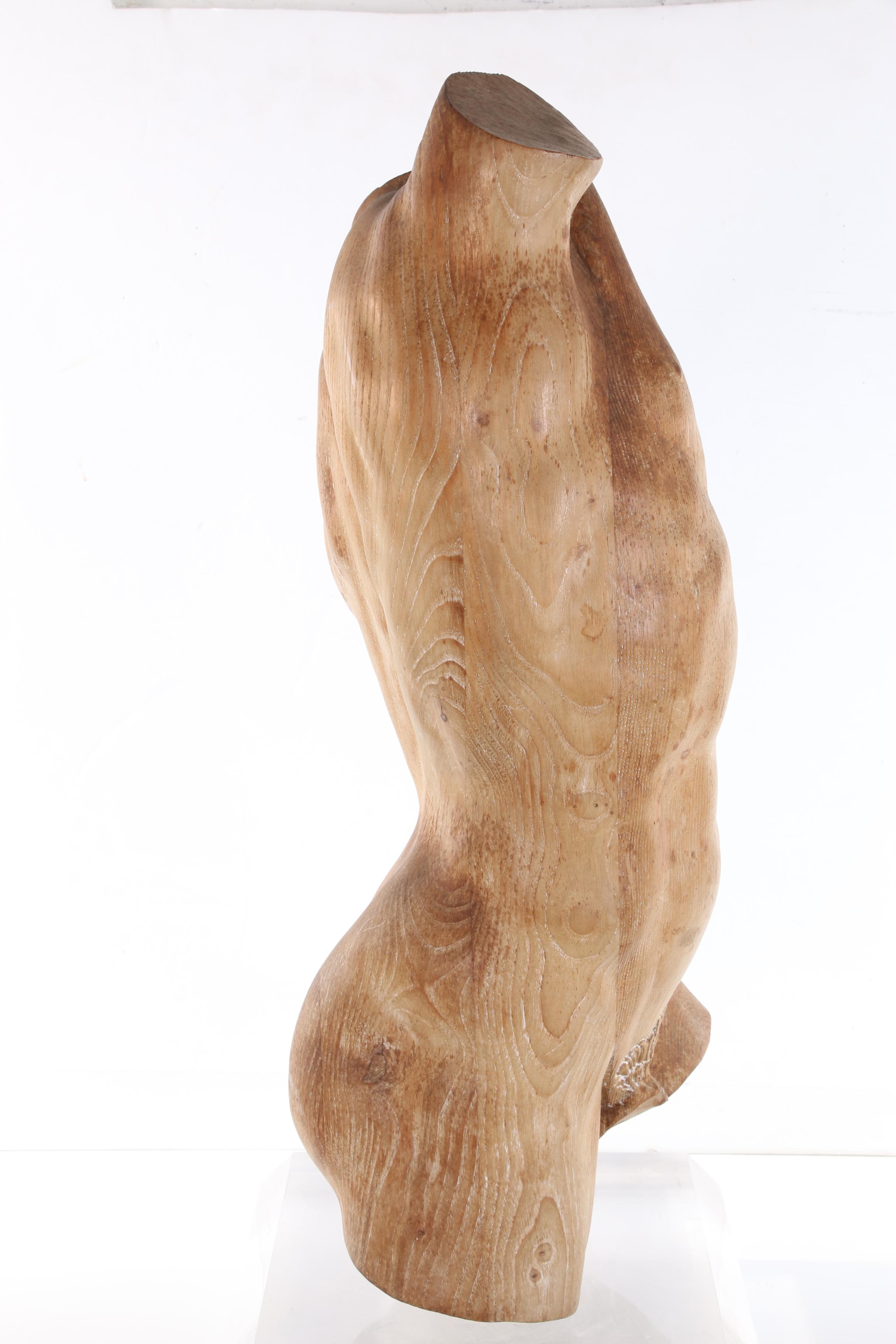 Carved Wood Sculpture of a Greco-Roman Classical Style Male Torso