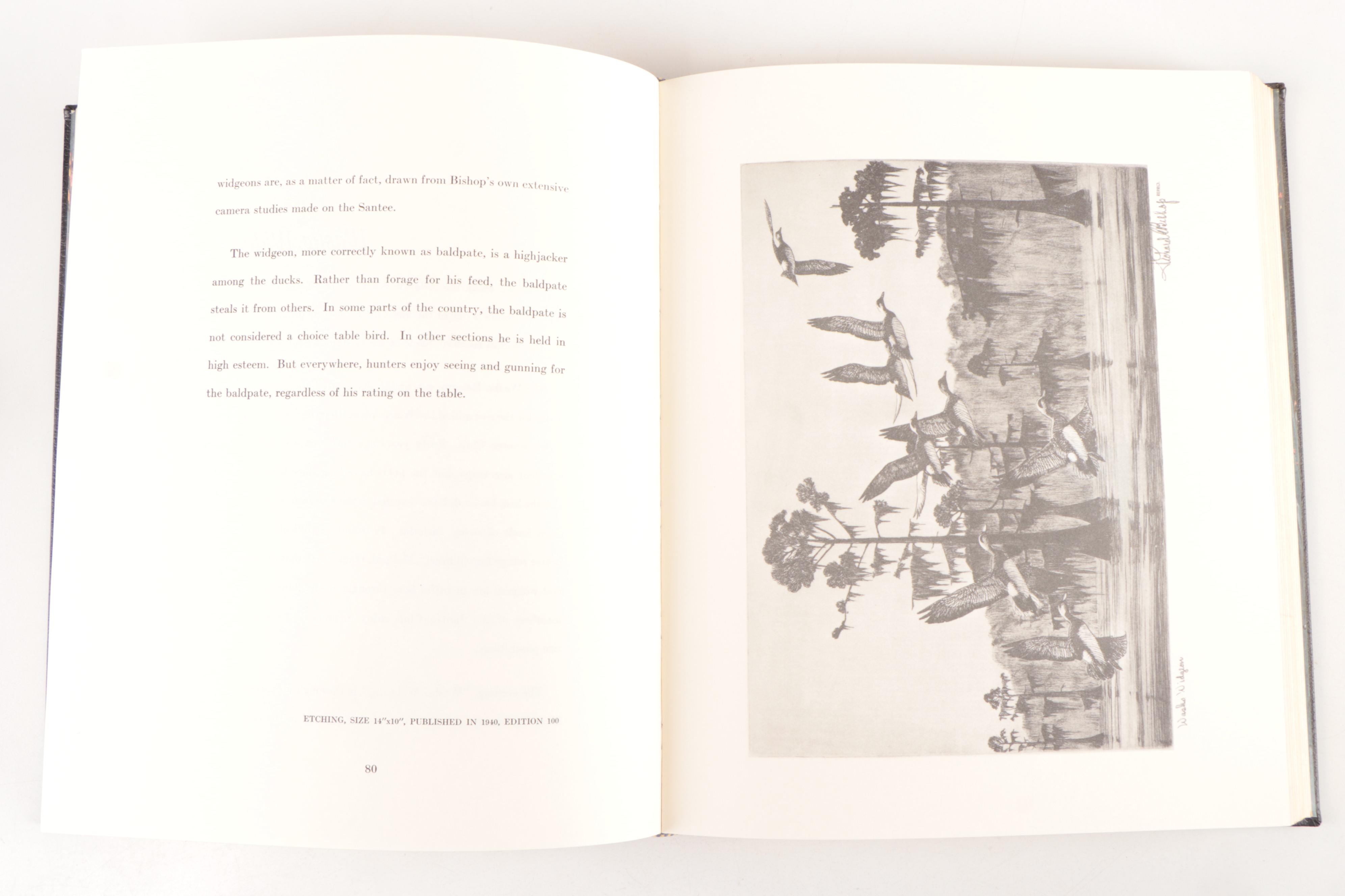 Waterfowl Books Including Signed and Limited Editions Featuring "Hollica Snooze"