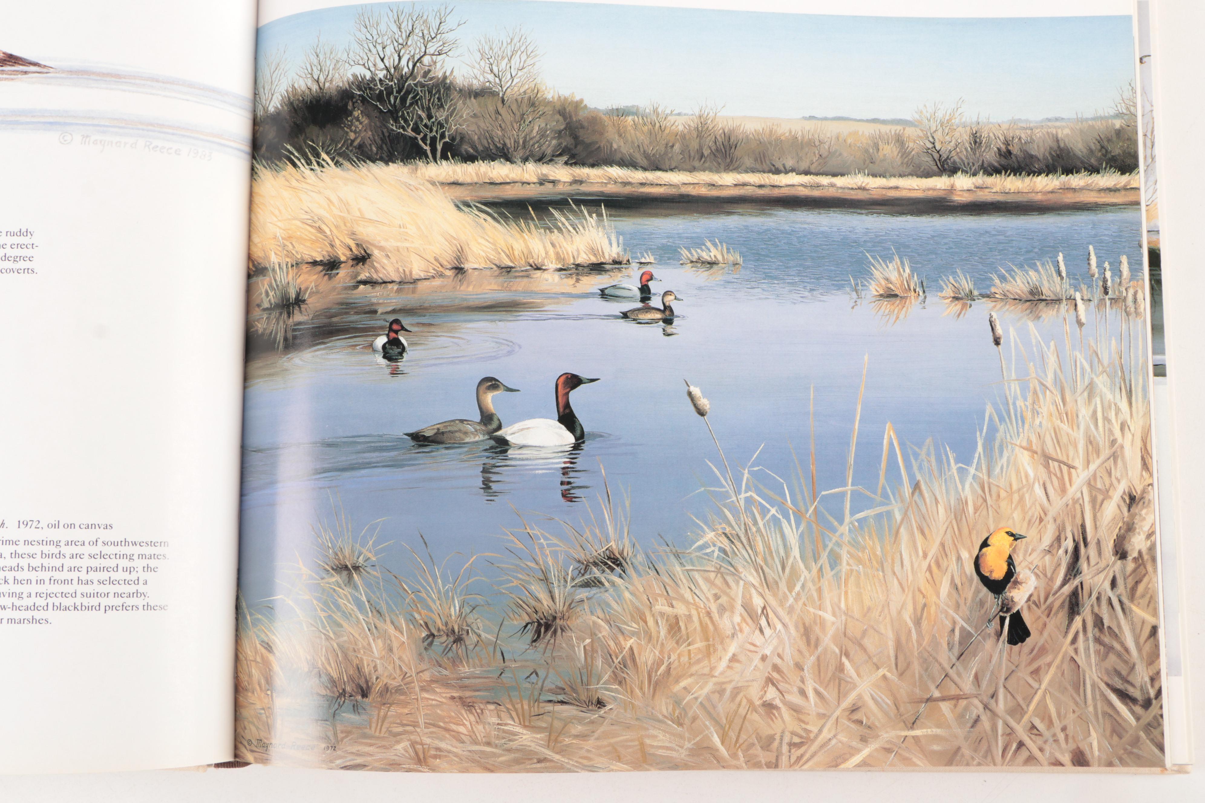 Waterfowl Books Including Signed and Limited Editions Featuring "Hollica Snooze"