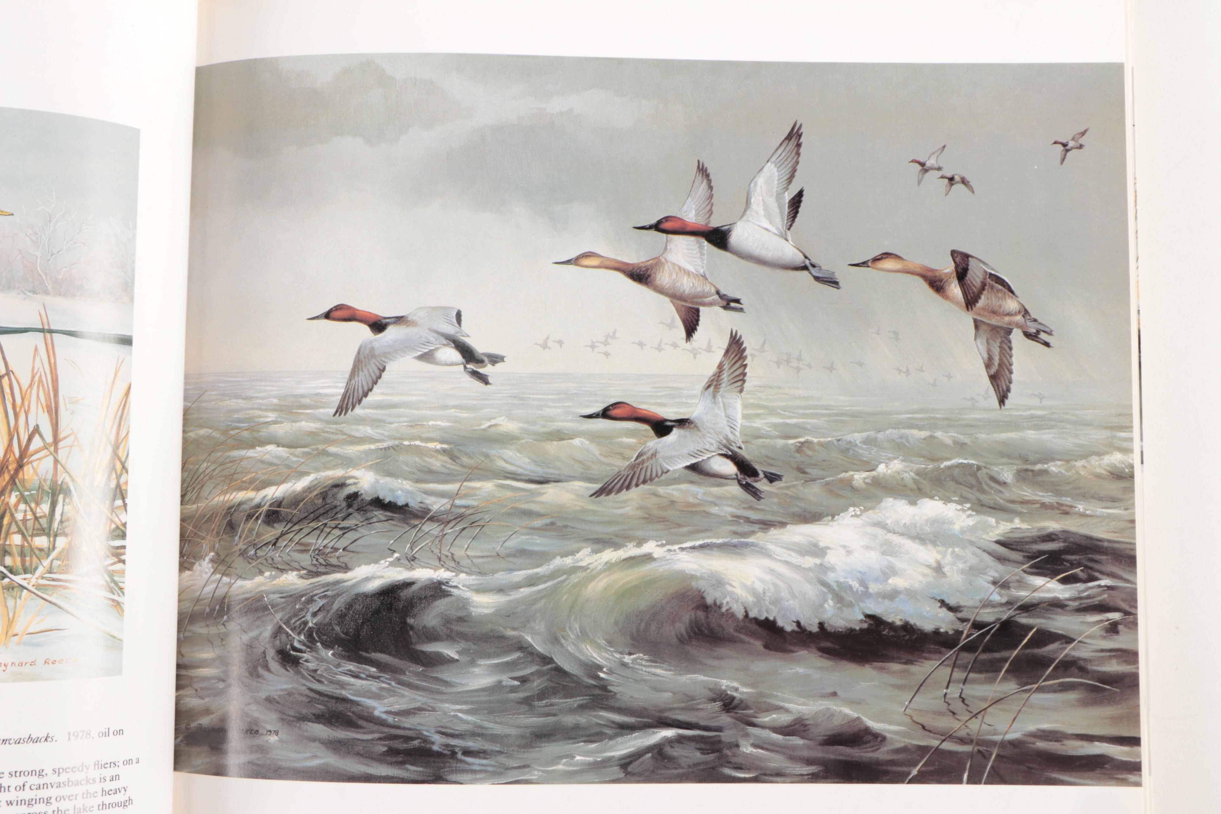 Waterfowl Books Including Signed and Limited Editions Featuring "Hollica Snooze"