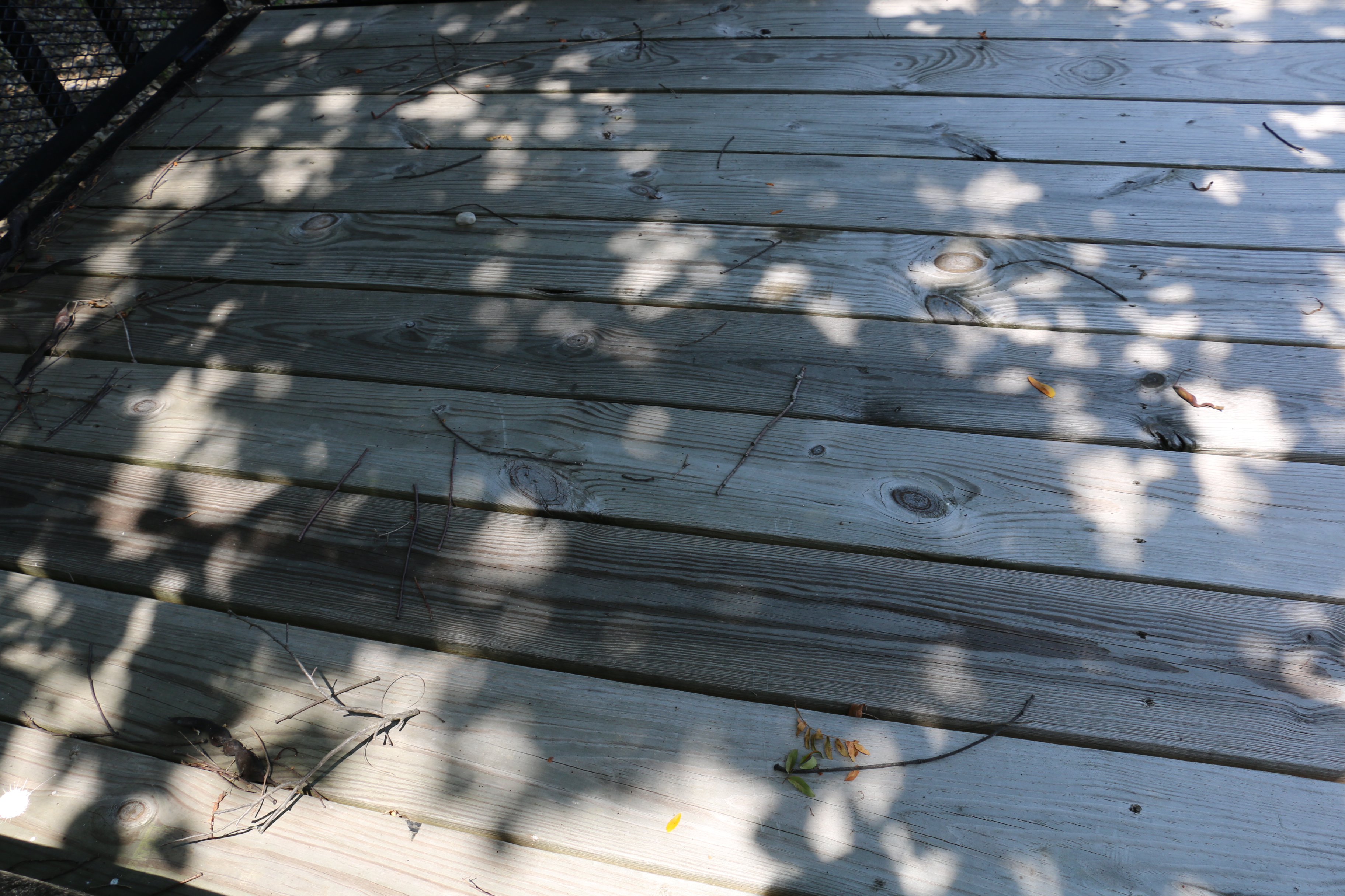 Carry-On Trailer Co. Wire Mesh Utility Trailer with Ramp