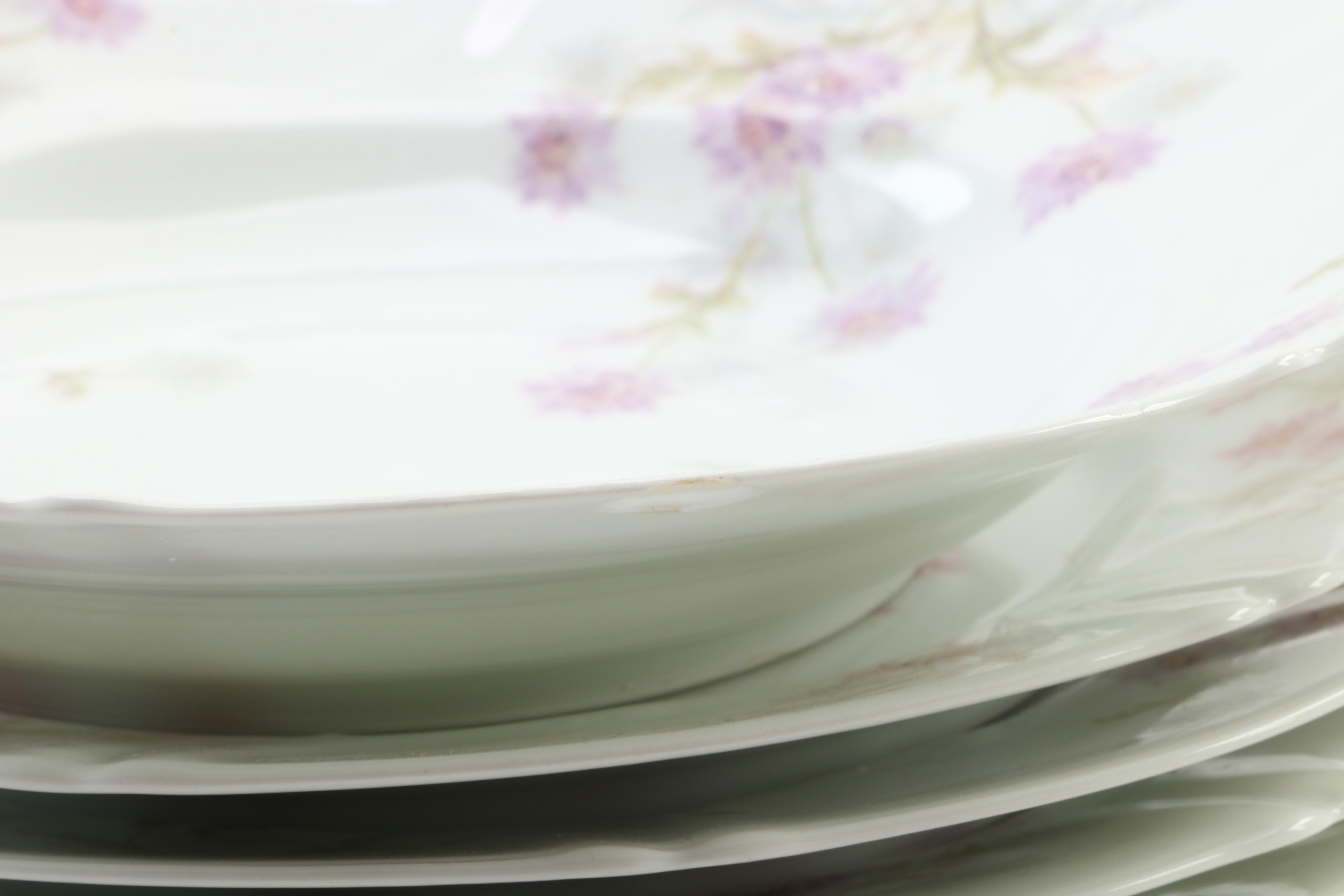 Theodore Haviland Limoges Porcelain Floral Dinnerware, Late 19th Century