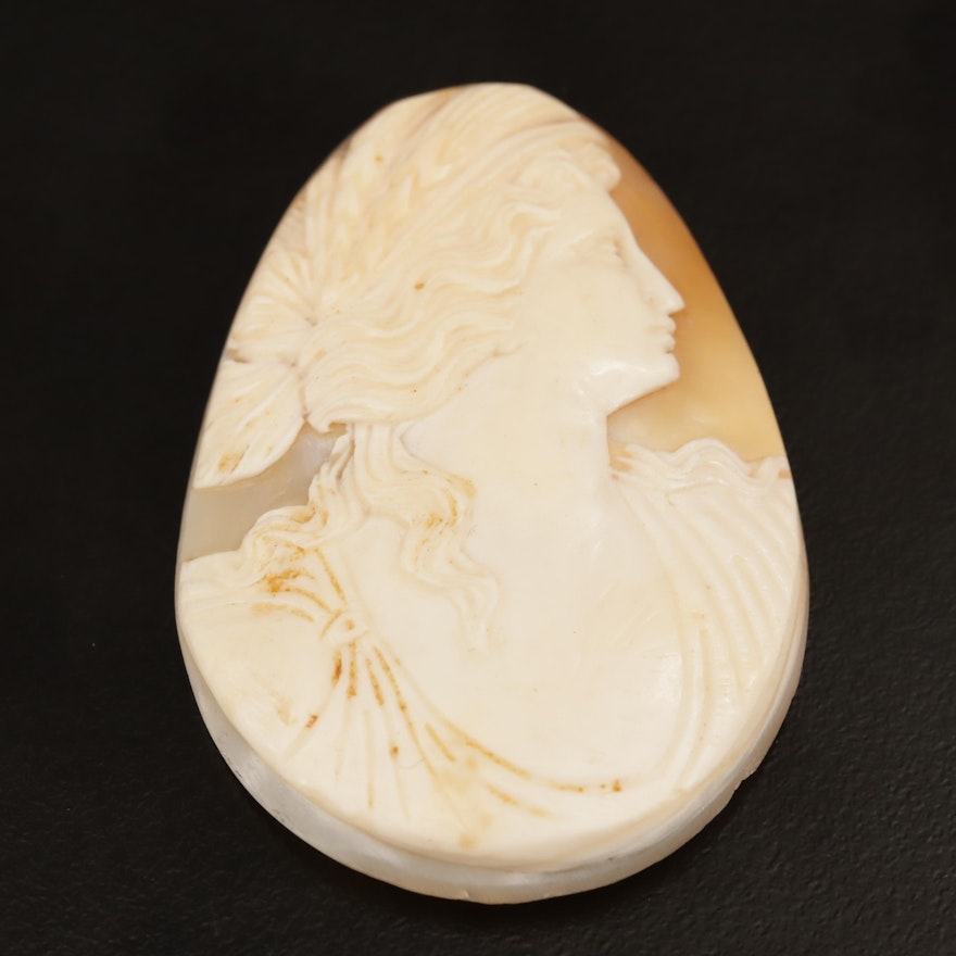 Loose 51.84 CT Shell Cameo