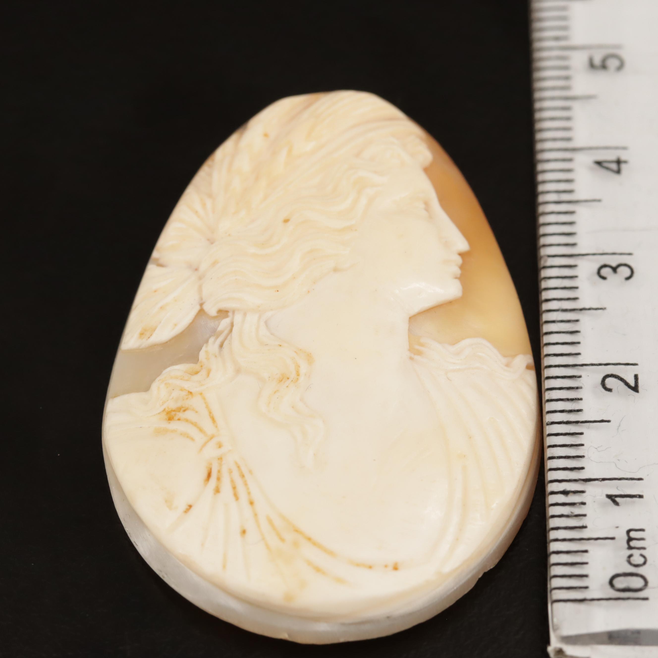 Loose 51.84 CT Shell Cameo
