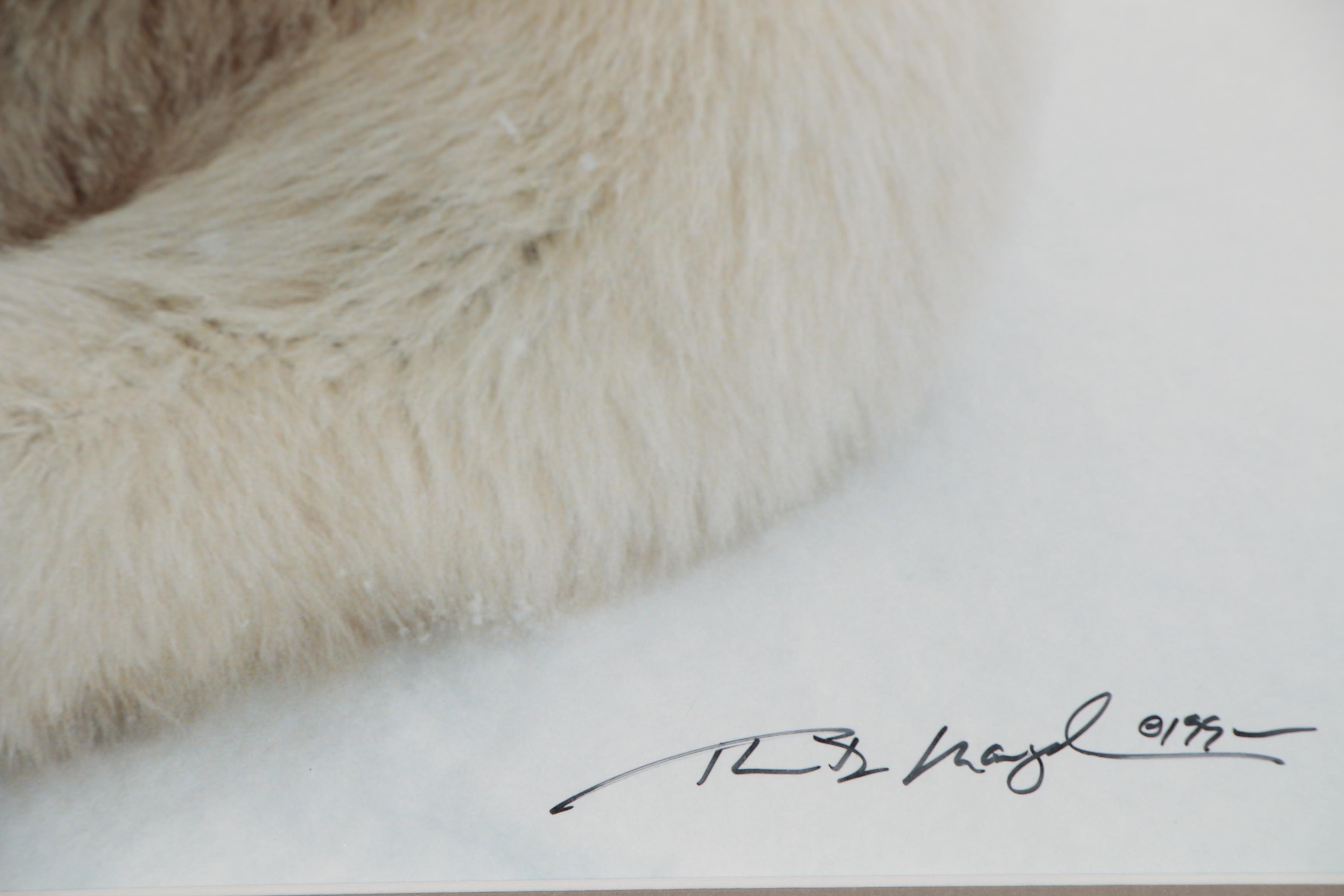 Thomas D. Mangelsen Digital Photograph Polar Bear in the Snow, 1990
